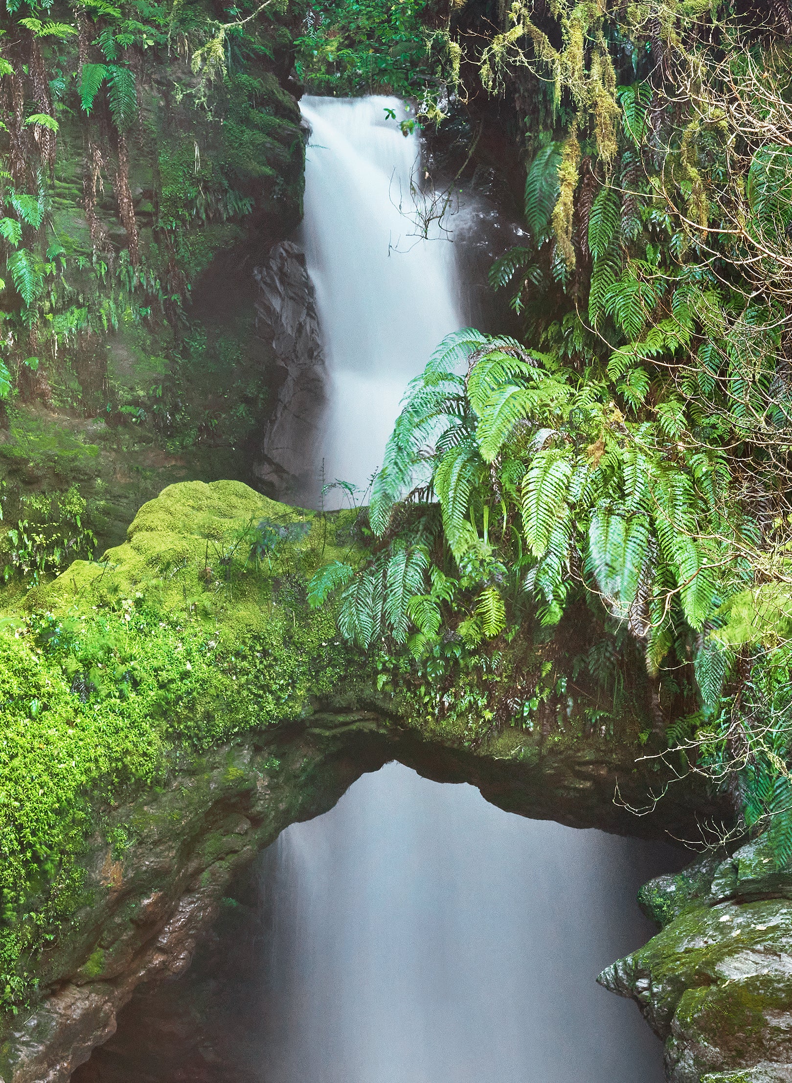 Emerald Eden - Stretched Canvas Triptych