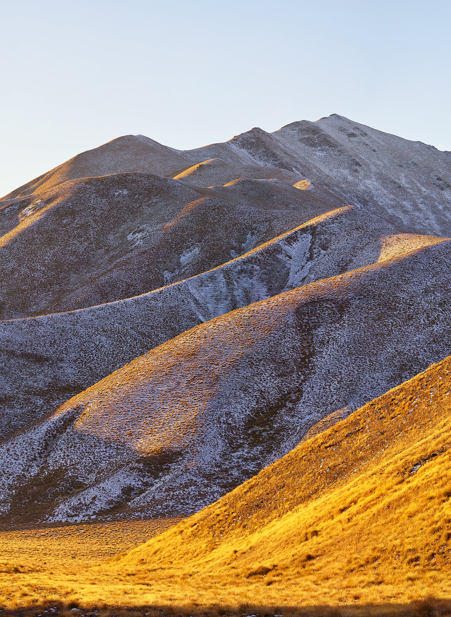 Golden Highway  - Photographic Print
