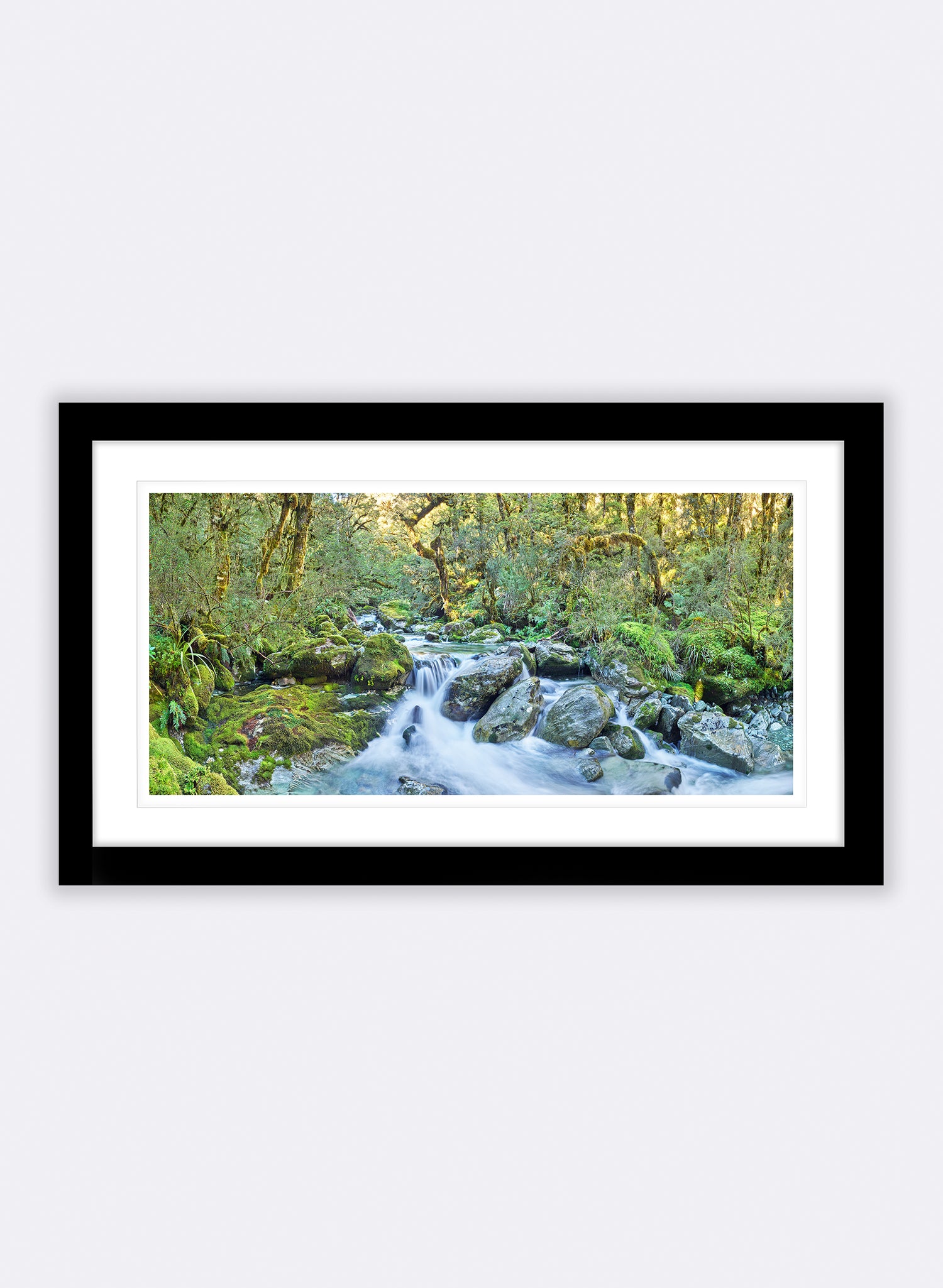 Harmony - Photographic Print