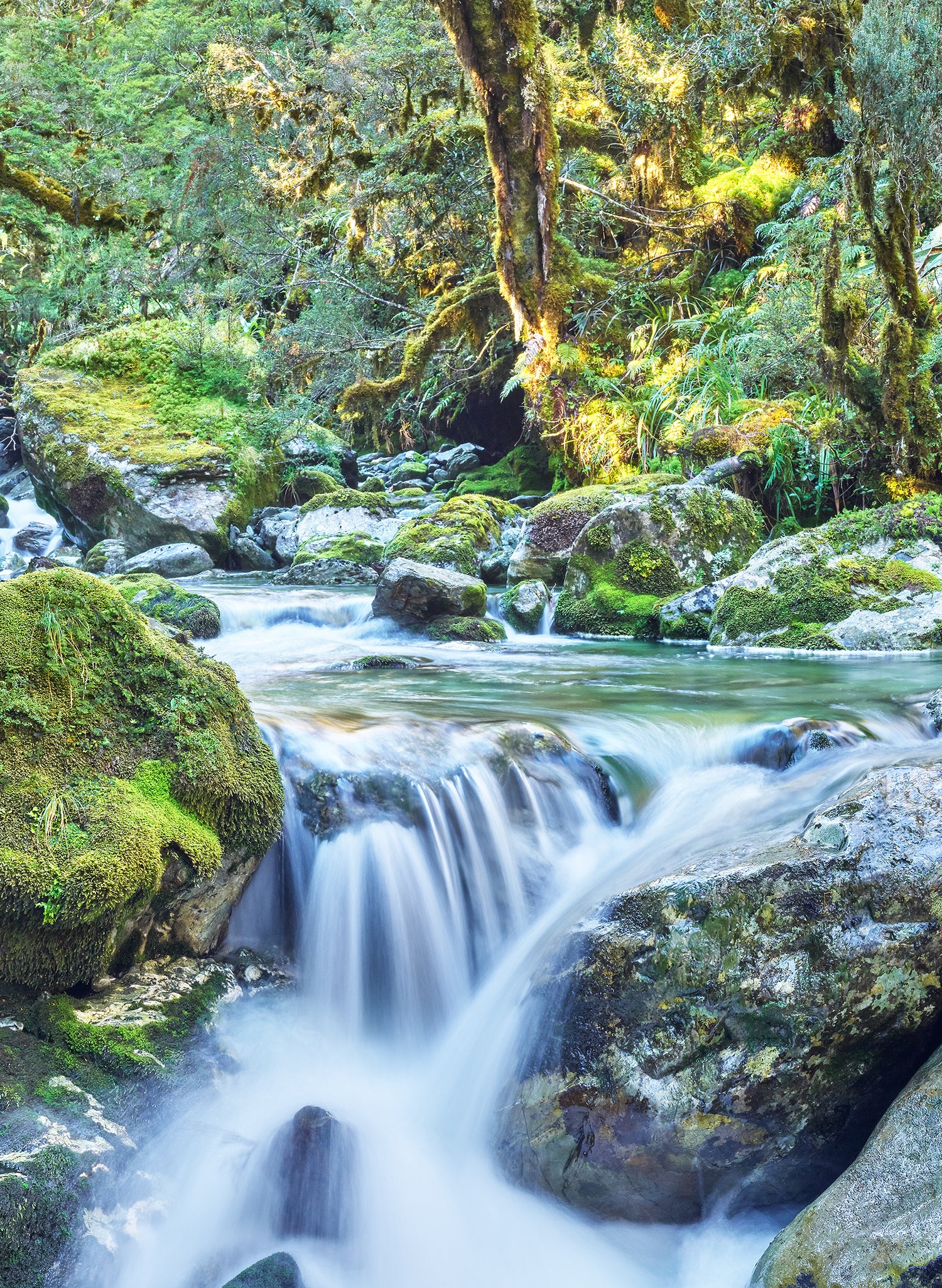 Harmony - Photographic Print