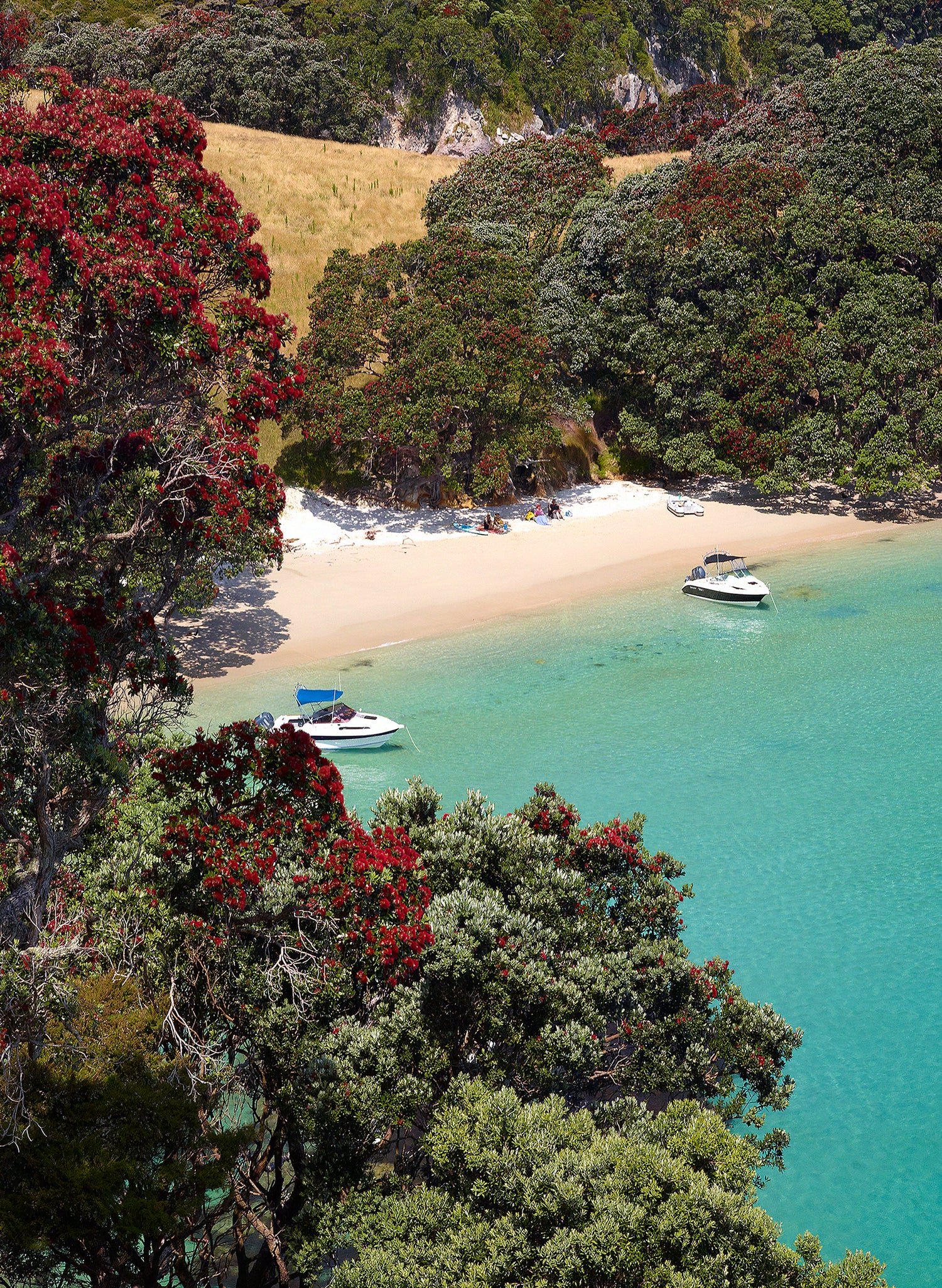 Heaven On Earth - Photographic Print