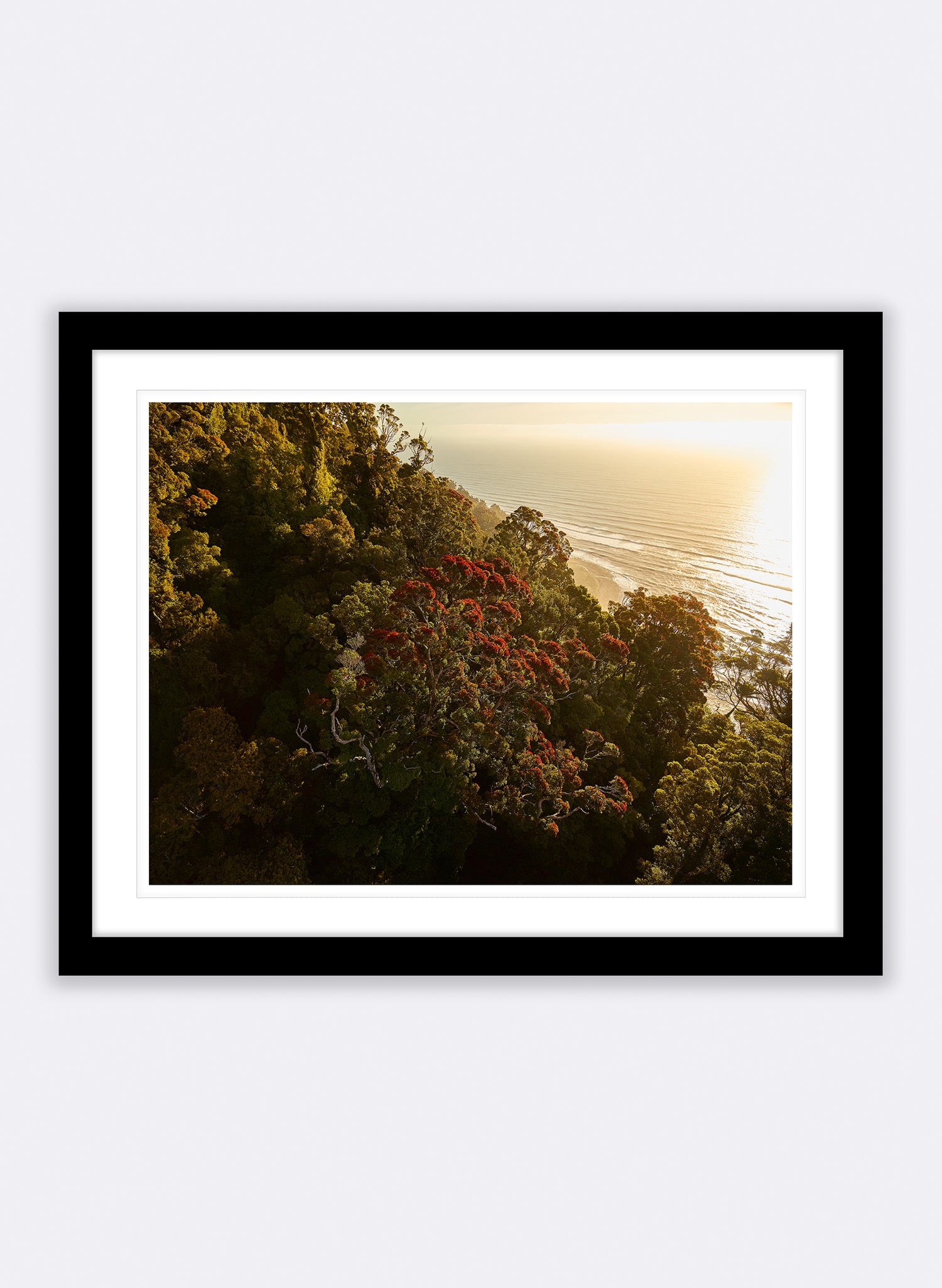 Her Majesty - Photographic Print