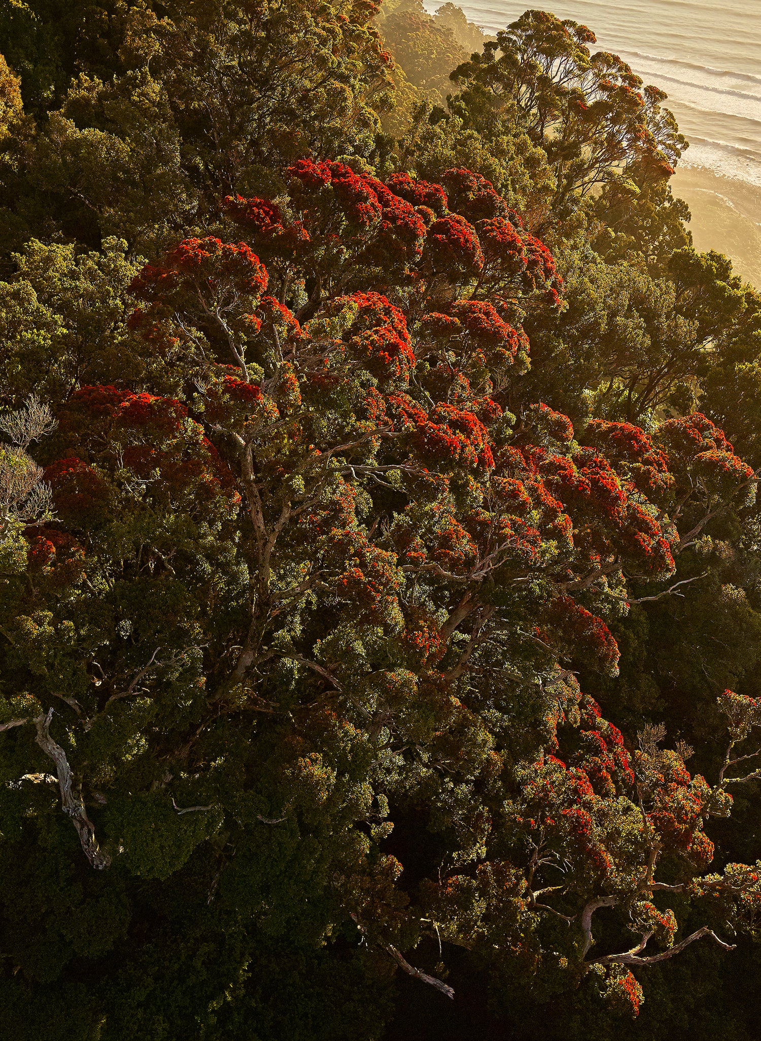 Her Majesty - Photographic Print