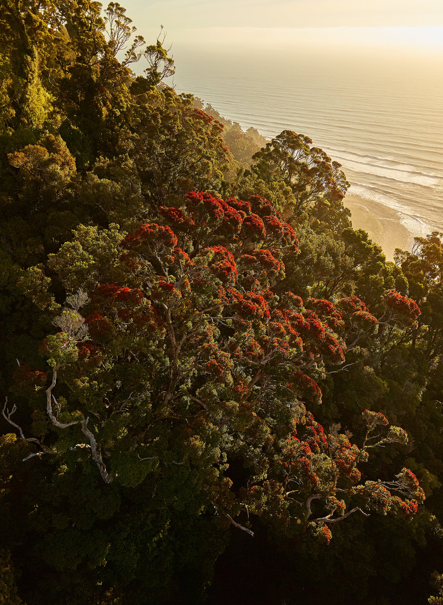 Her Majesty - Photographic Print