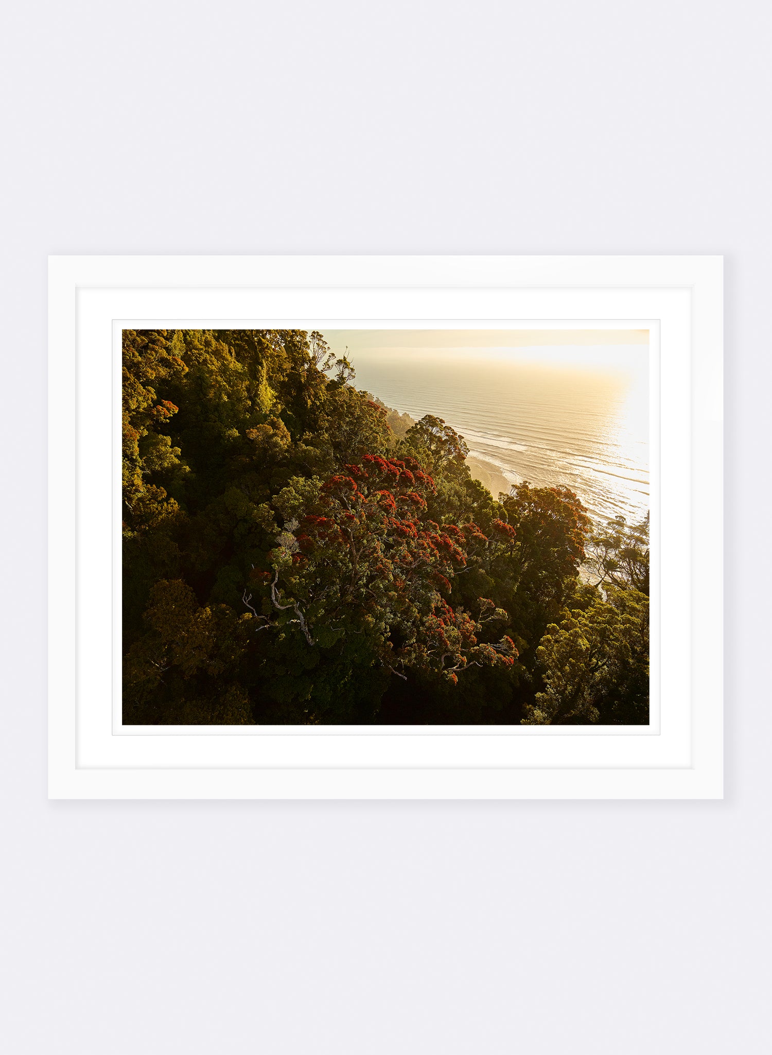 Her Majesty - Photographic Print