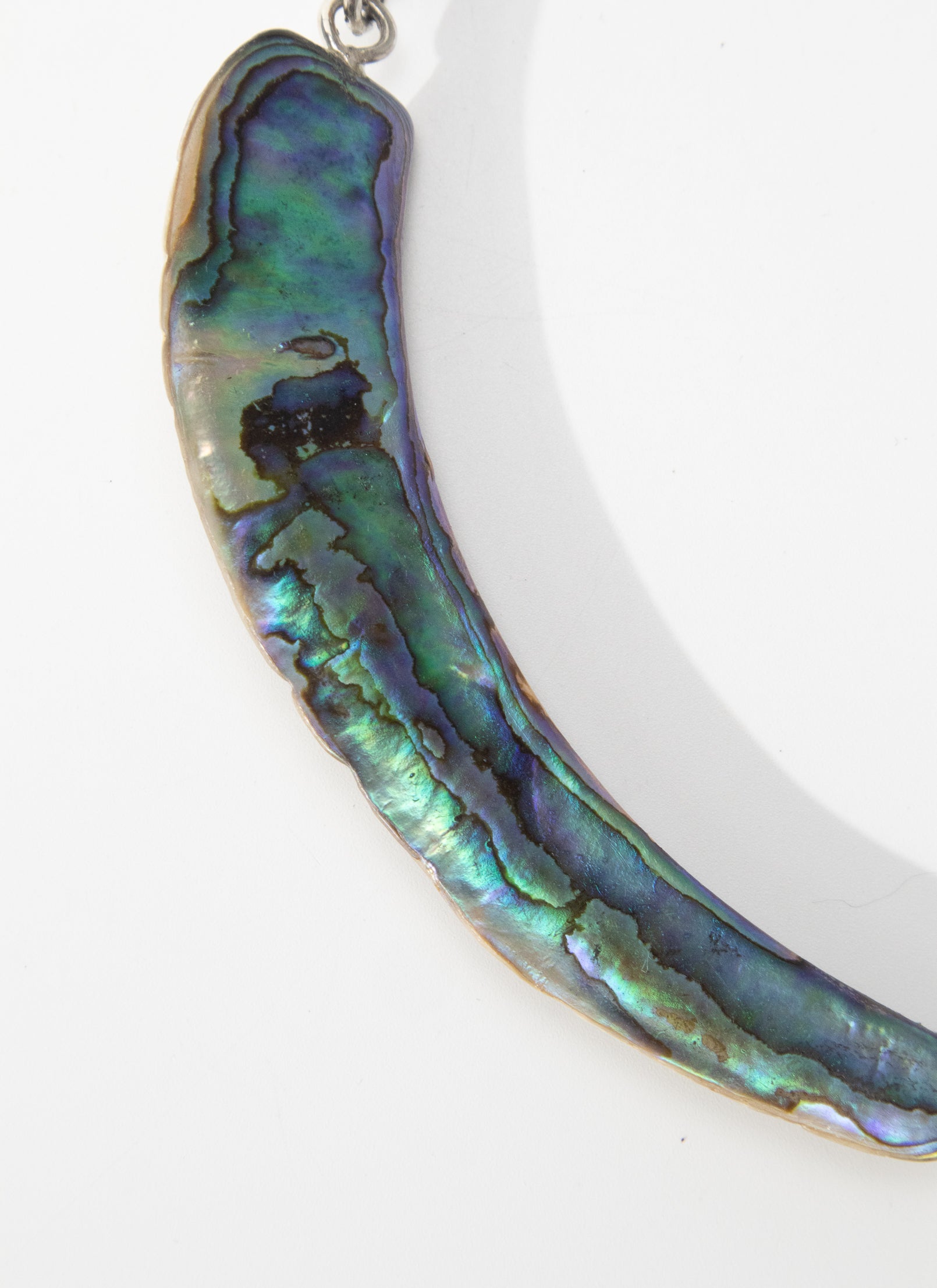 Paua Tusk Necklace
