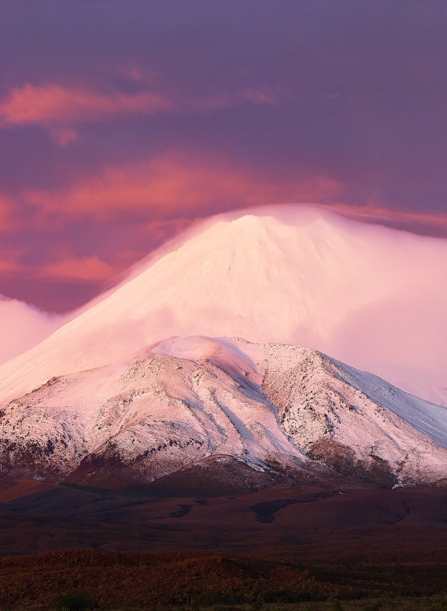 Icing On The Cake  - Photographic Print