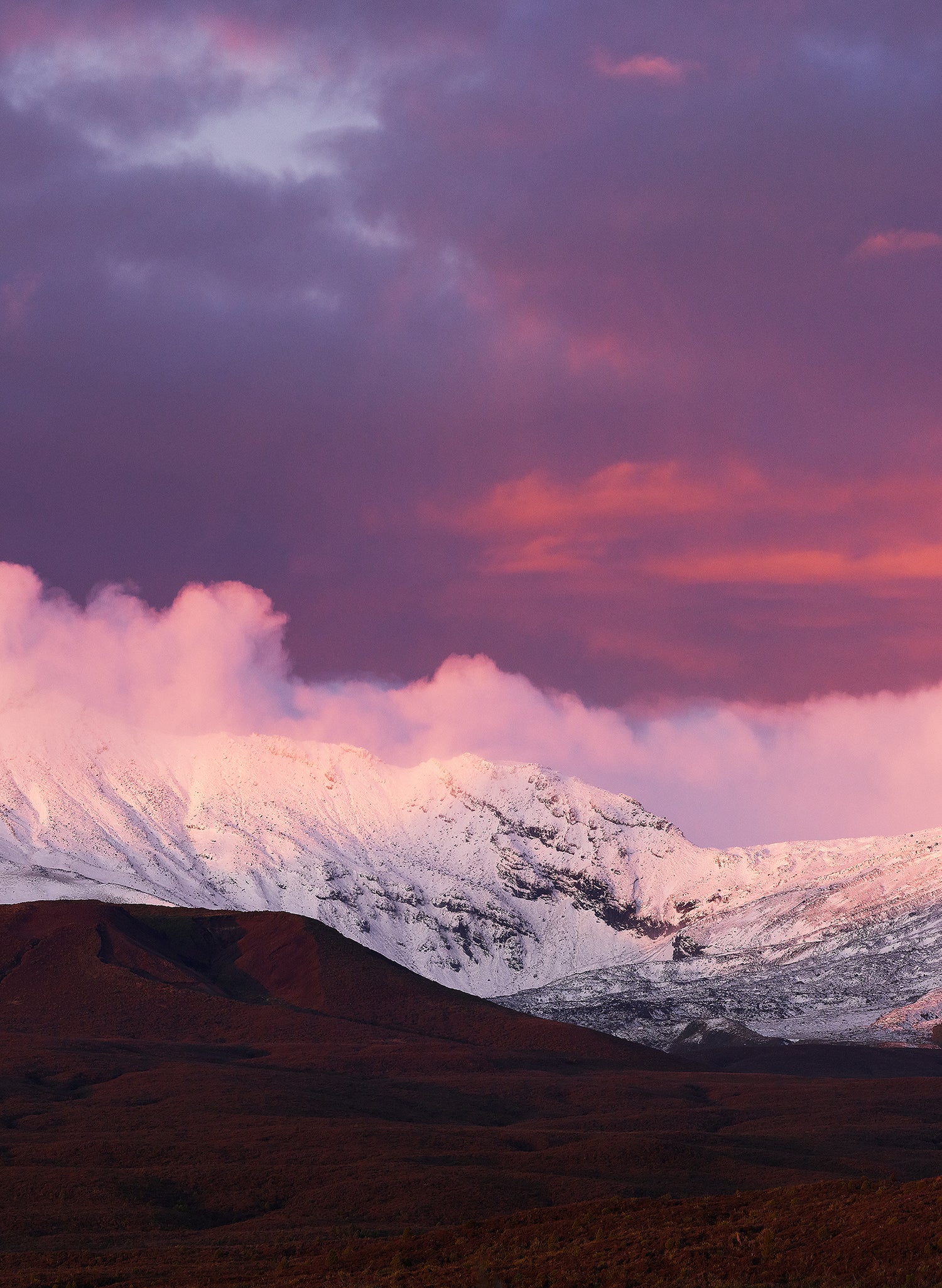 Icing On The Cake  - Photographic Print