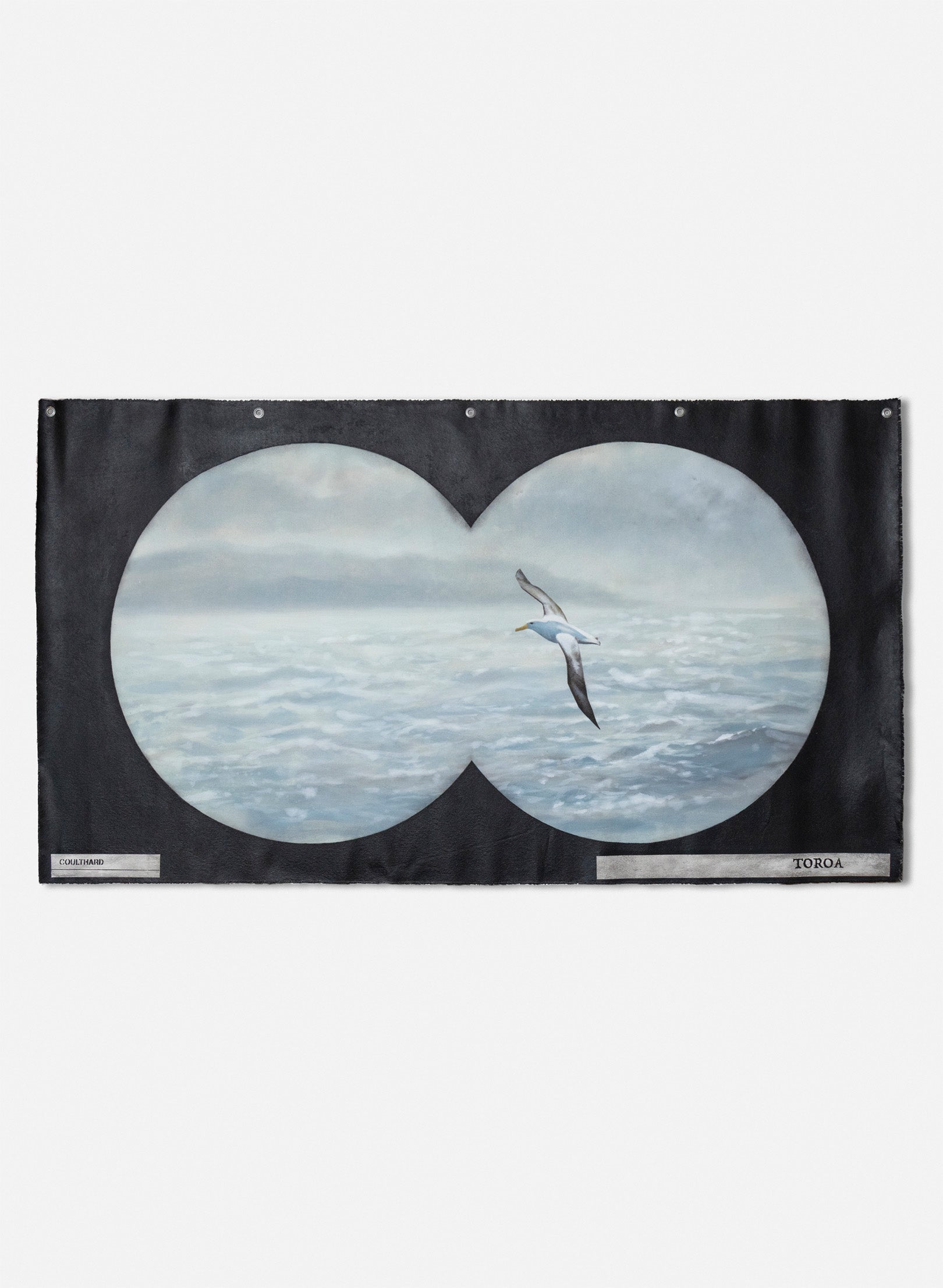 Binocular Vision Tohora