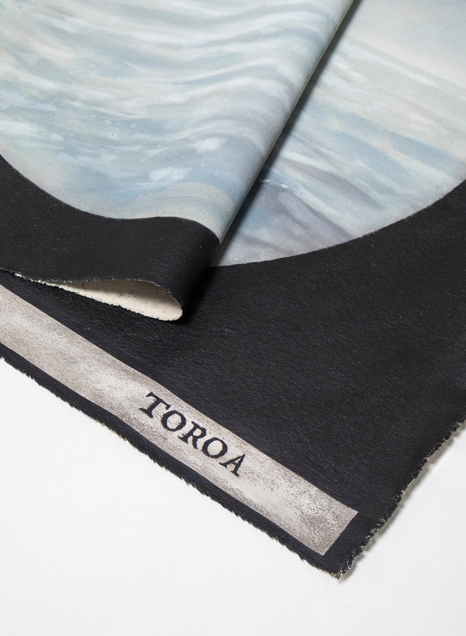 Binocular Vision Tohora