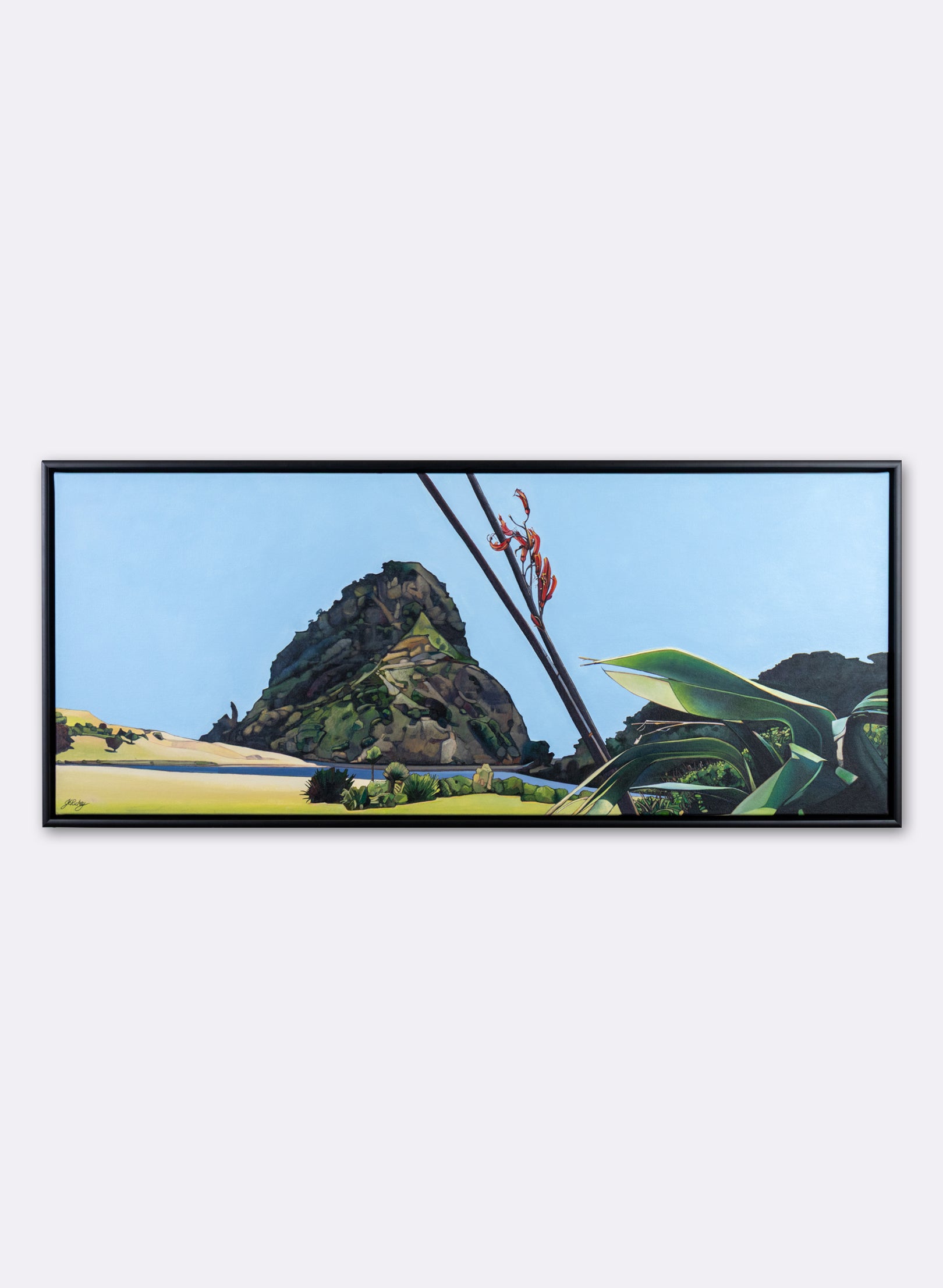 Chasing The Lion Piha