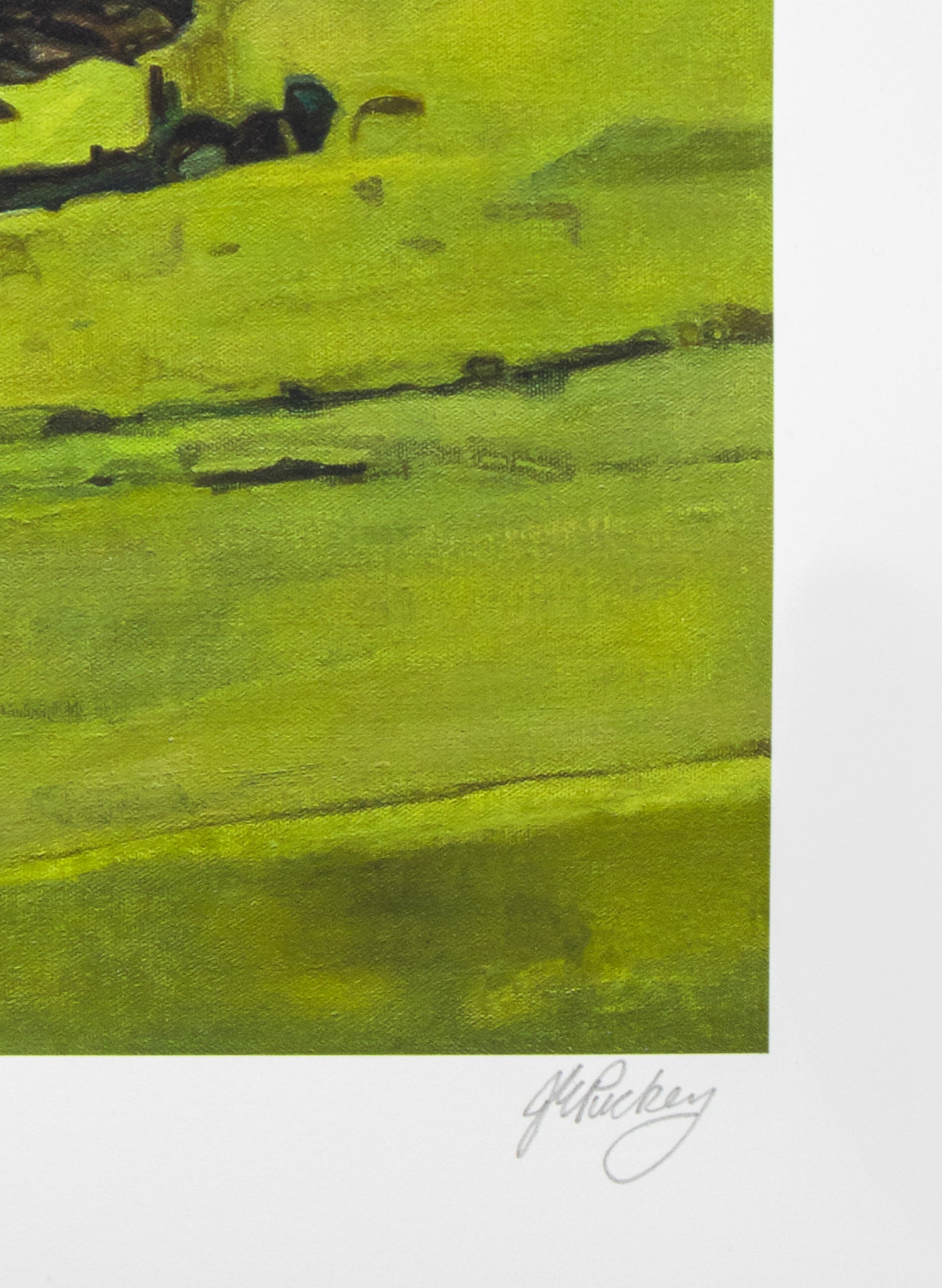 Arising at Mahurangi - Giclée Print