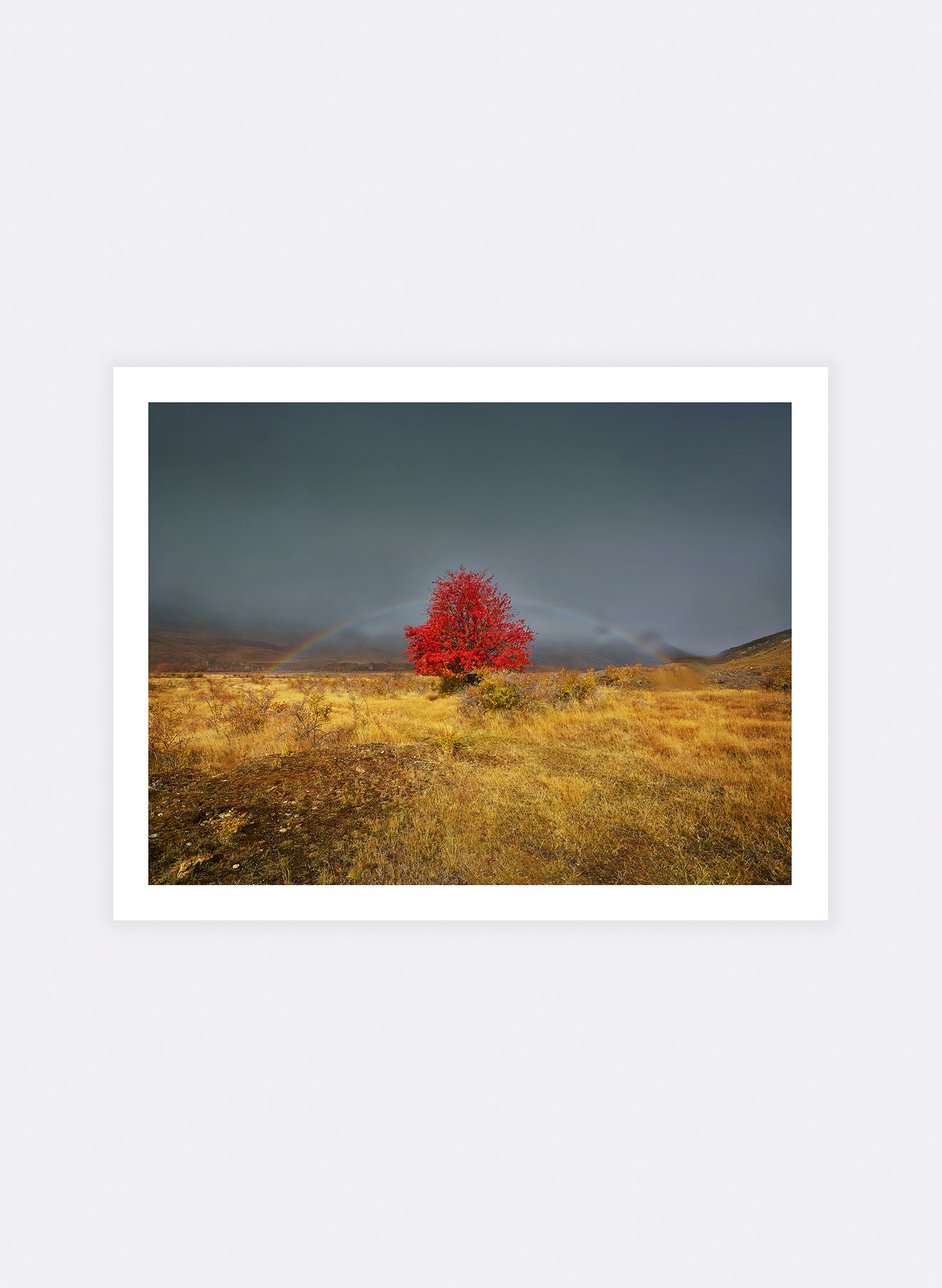 Jackpot  - Photographic Print