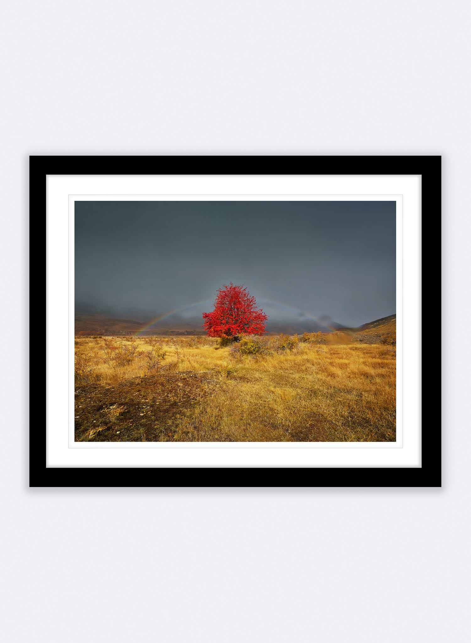 Jackpot  - Photographic Print