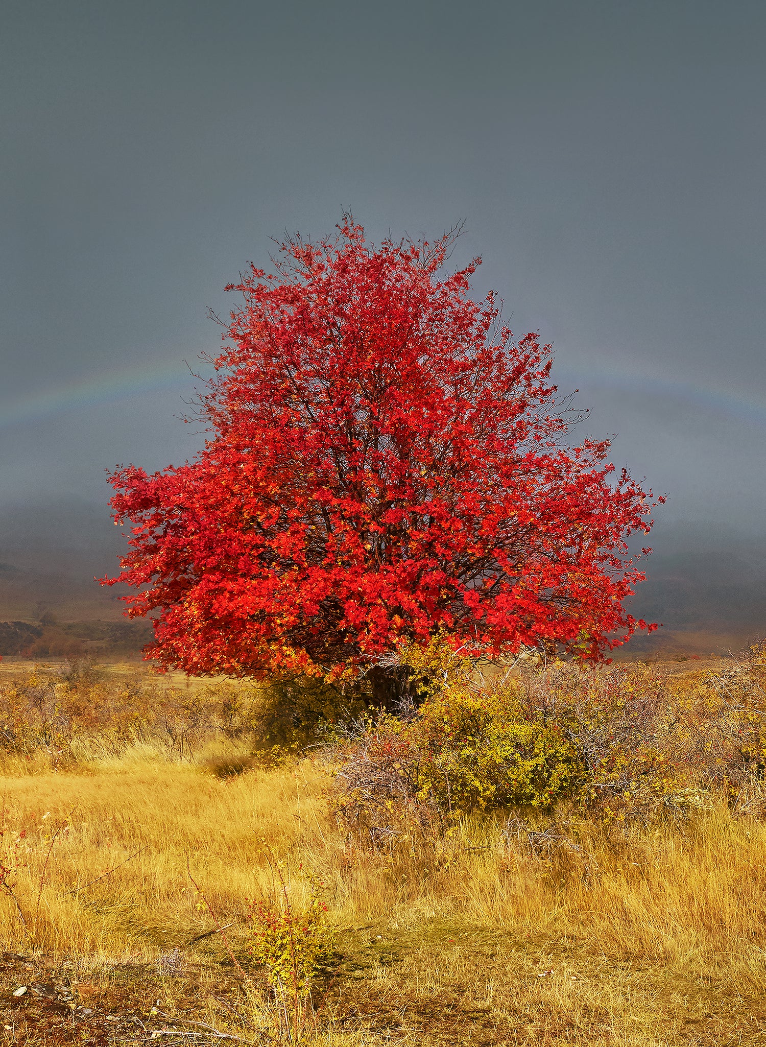 Jackpot  - Photographic Print