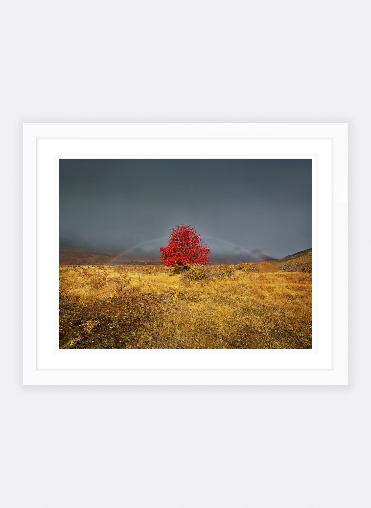 Jackpot  - Photographic Print