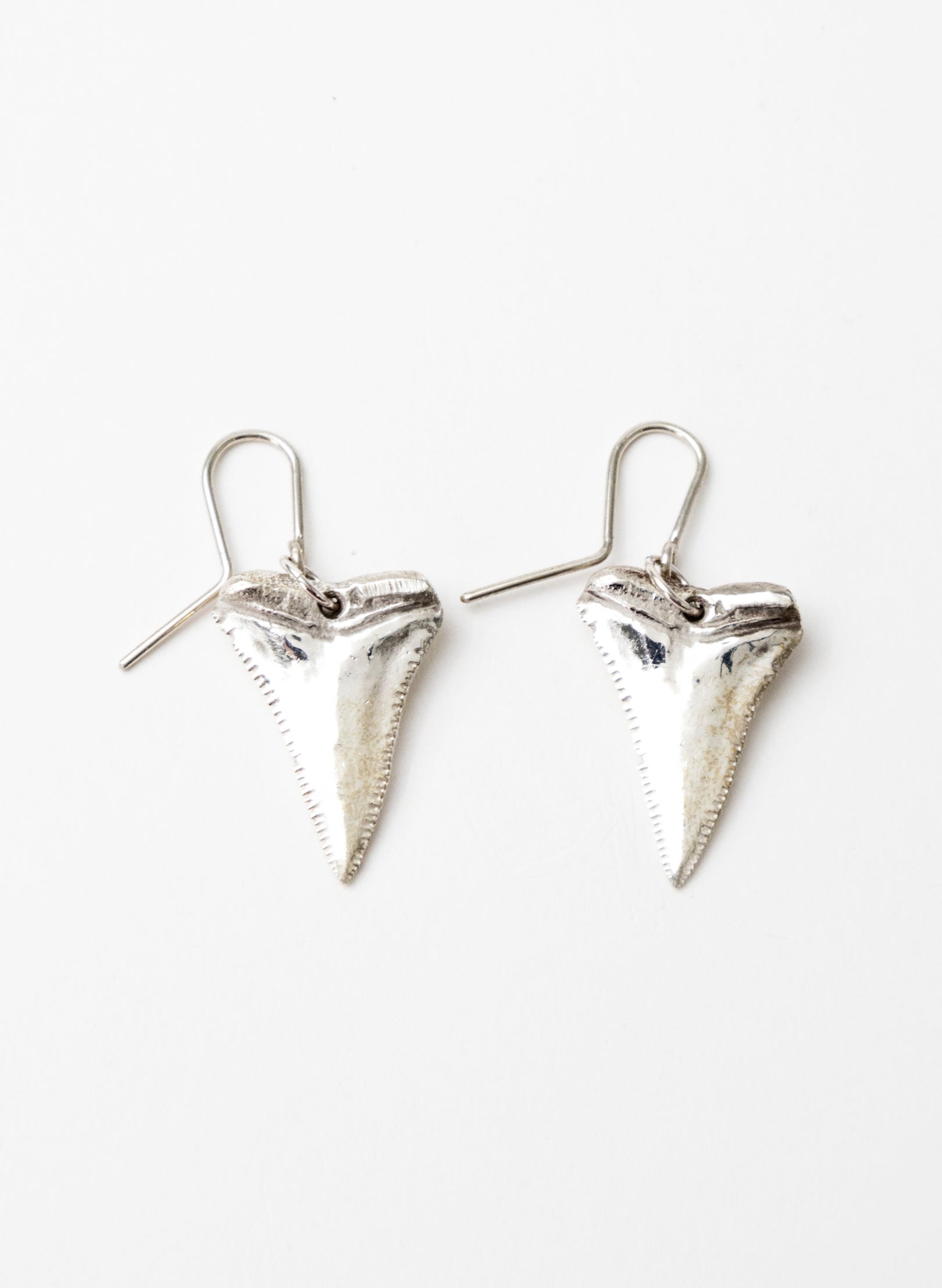 Great White Tooth Earrings