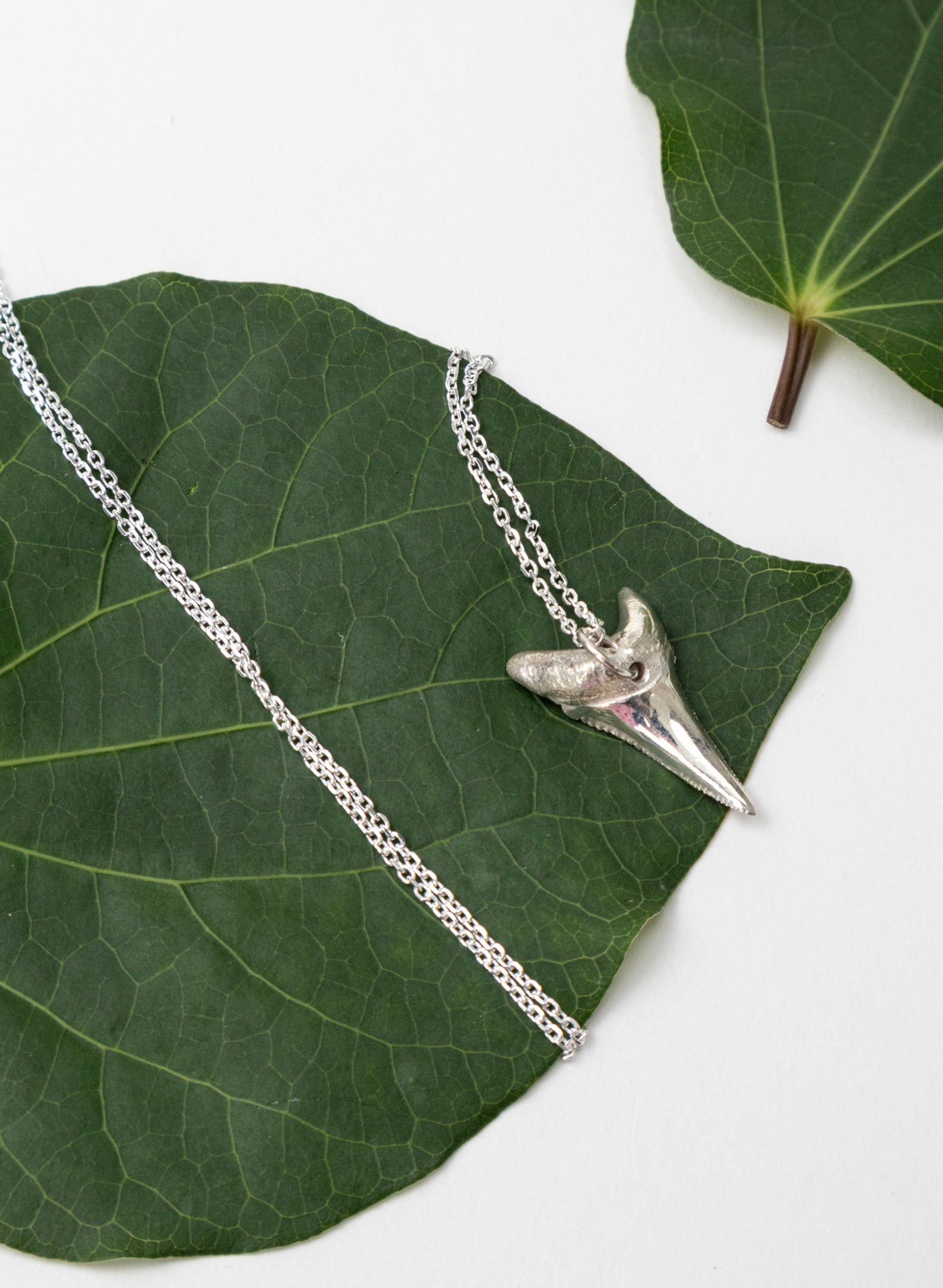 Mako Tooth Necklace