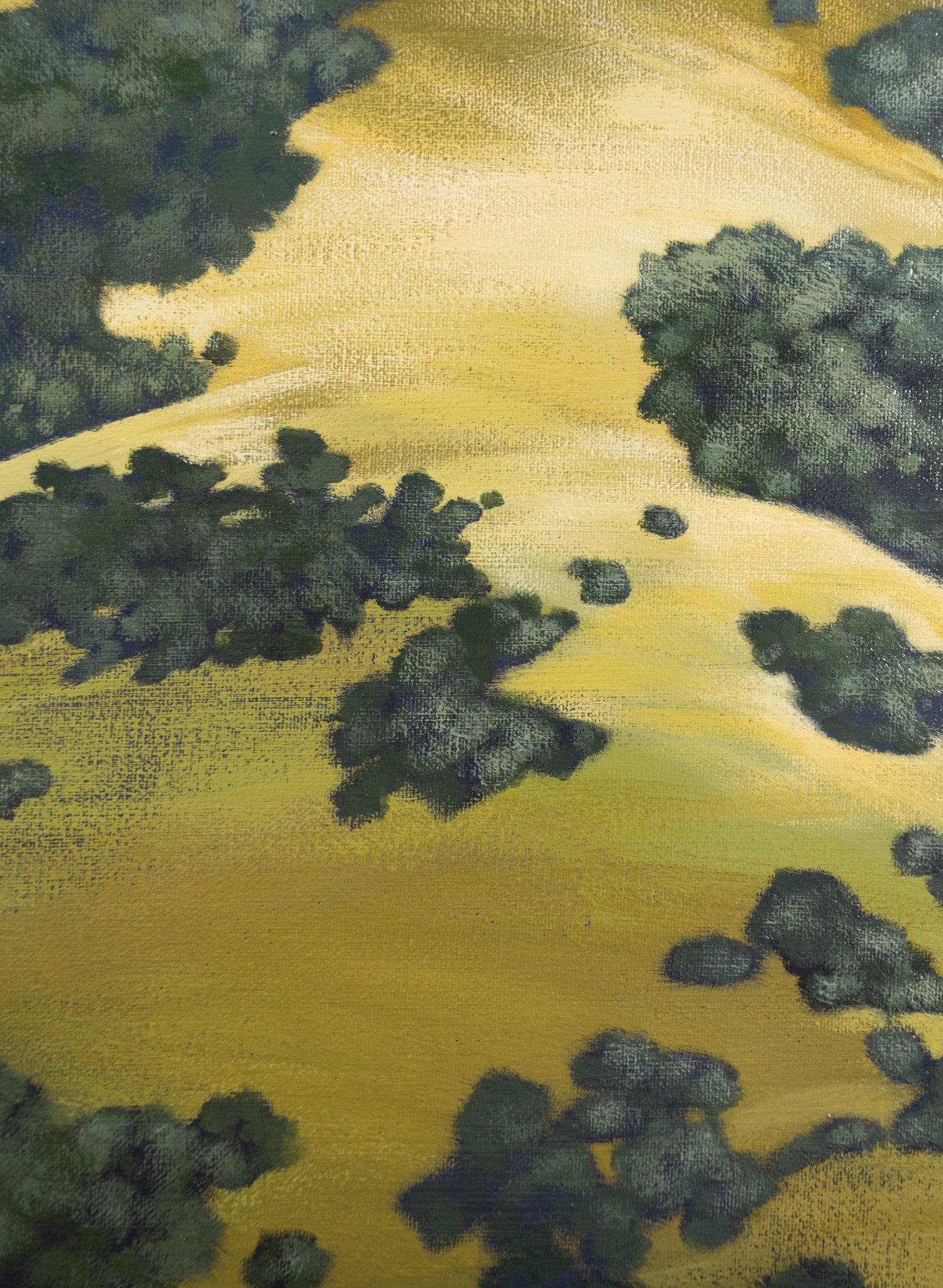 Late Afternoon Banks Peninsula - Original Painting