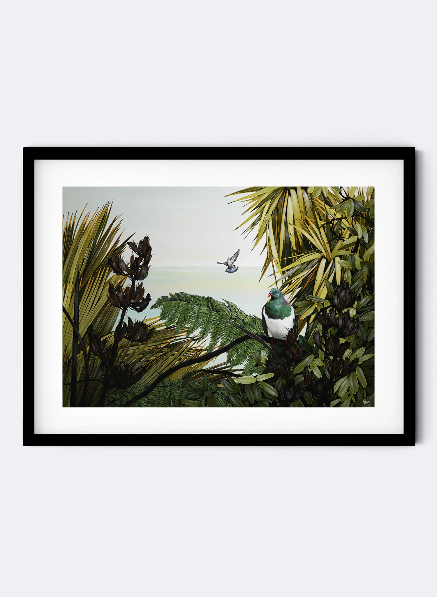 Kereru - Giclée Print