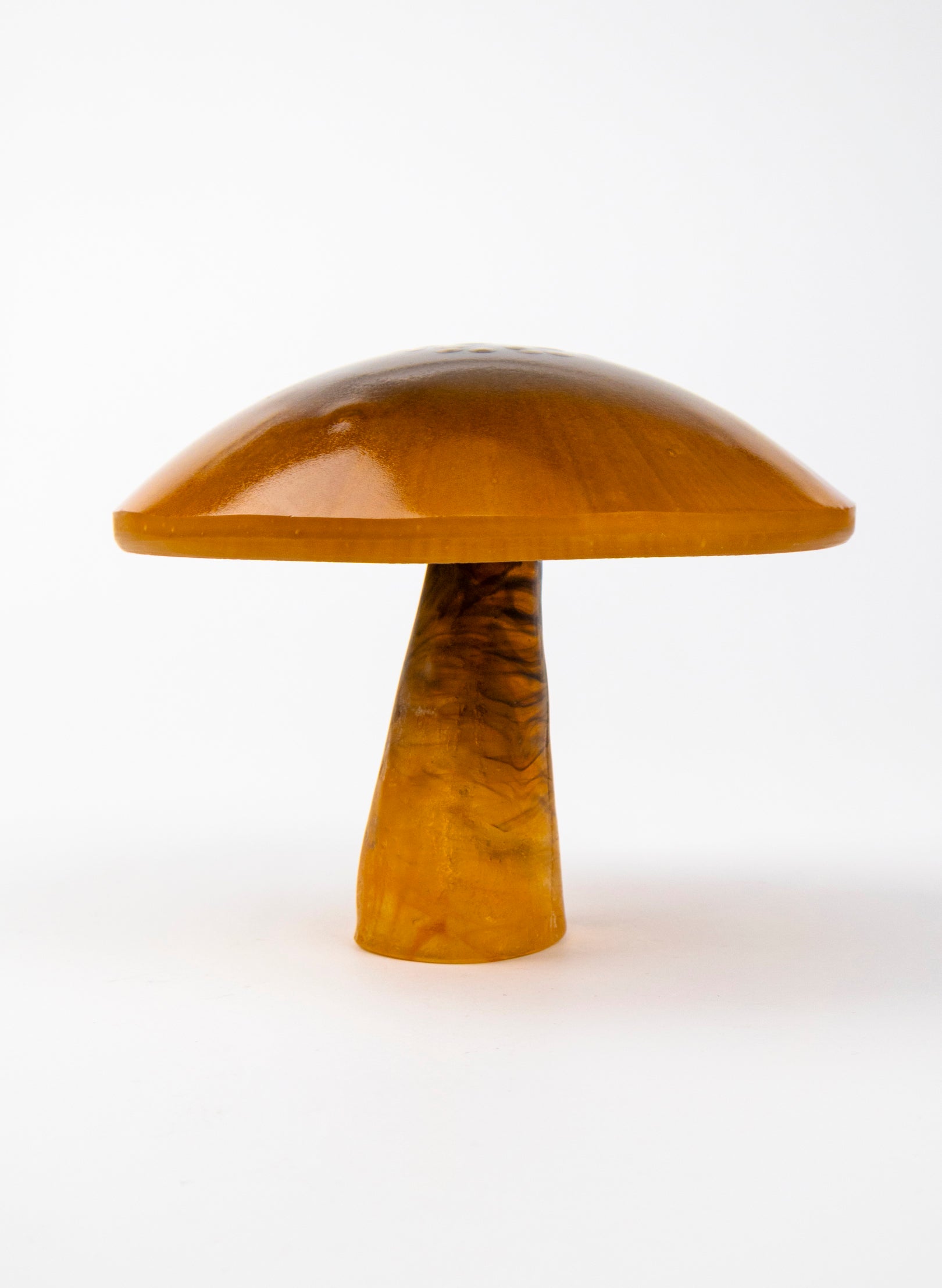 Brown Mushroom - Medium
