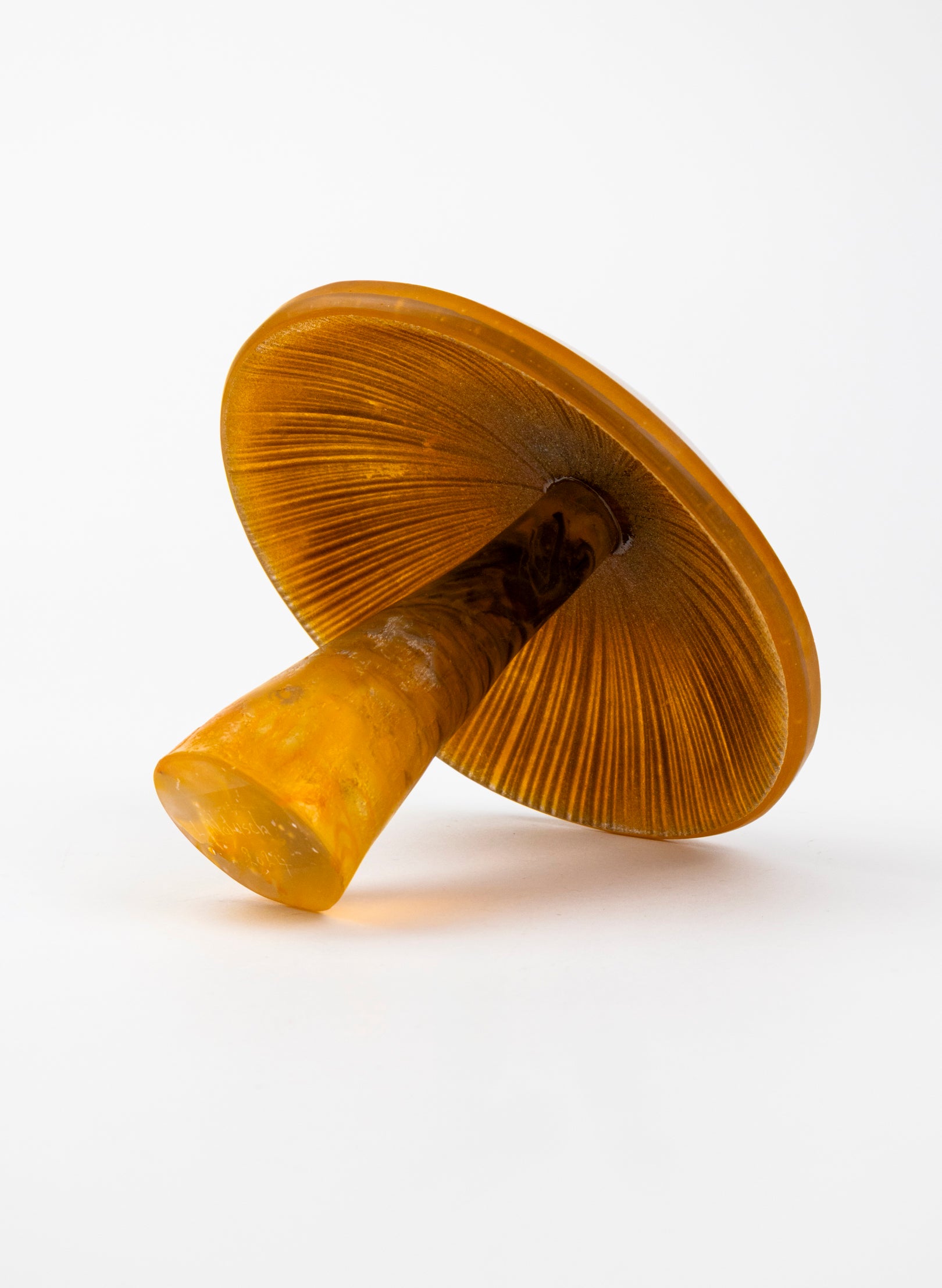 Brown Mushroom - Medium