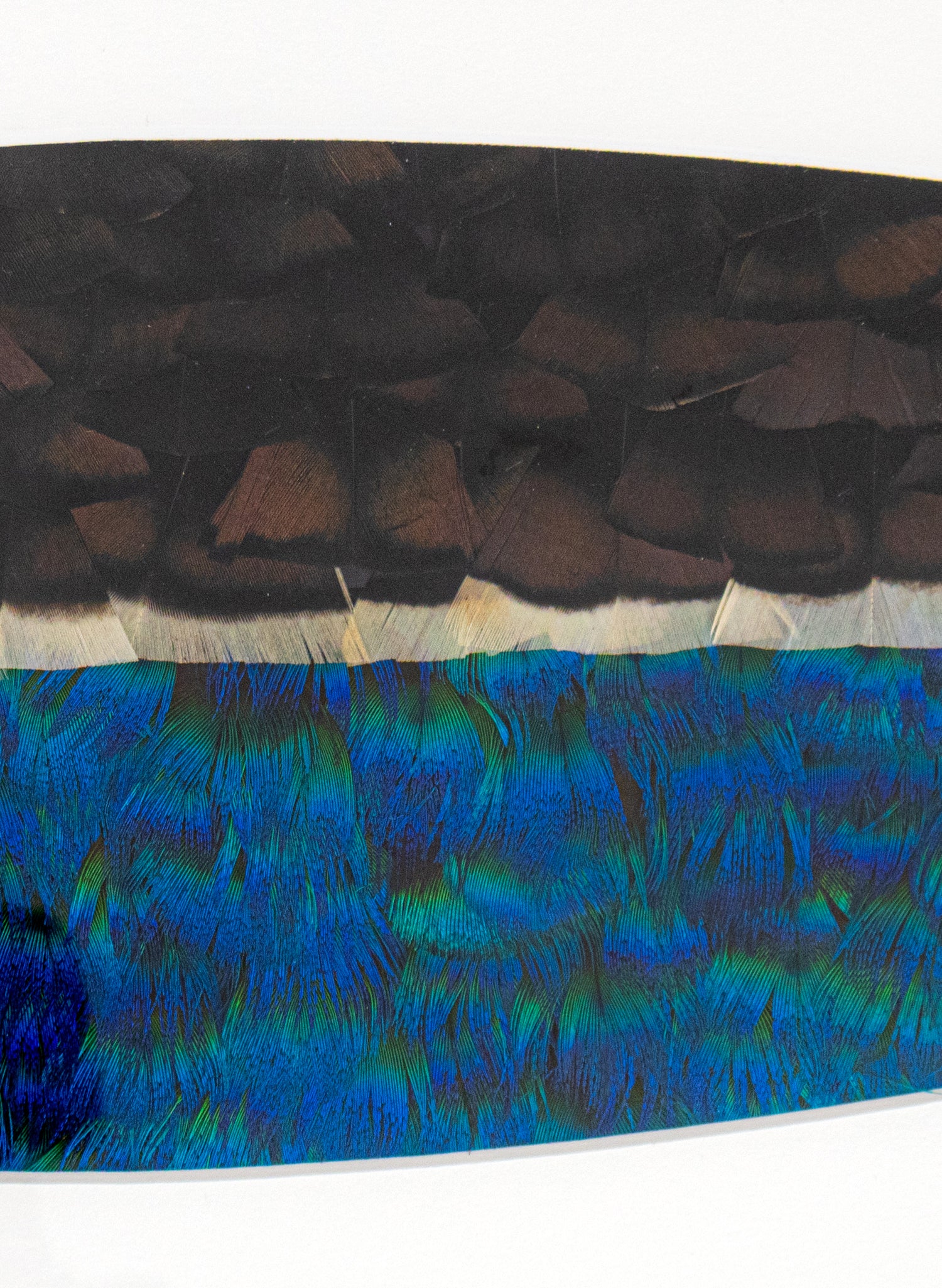 HOUSE OF HINE RAUKATAURI - Original Artwork