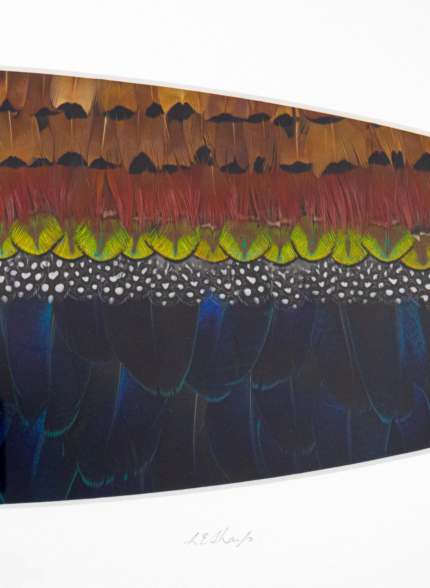 HOUSE OF HINE RAUKATAURI - Original Artwork