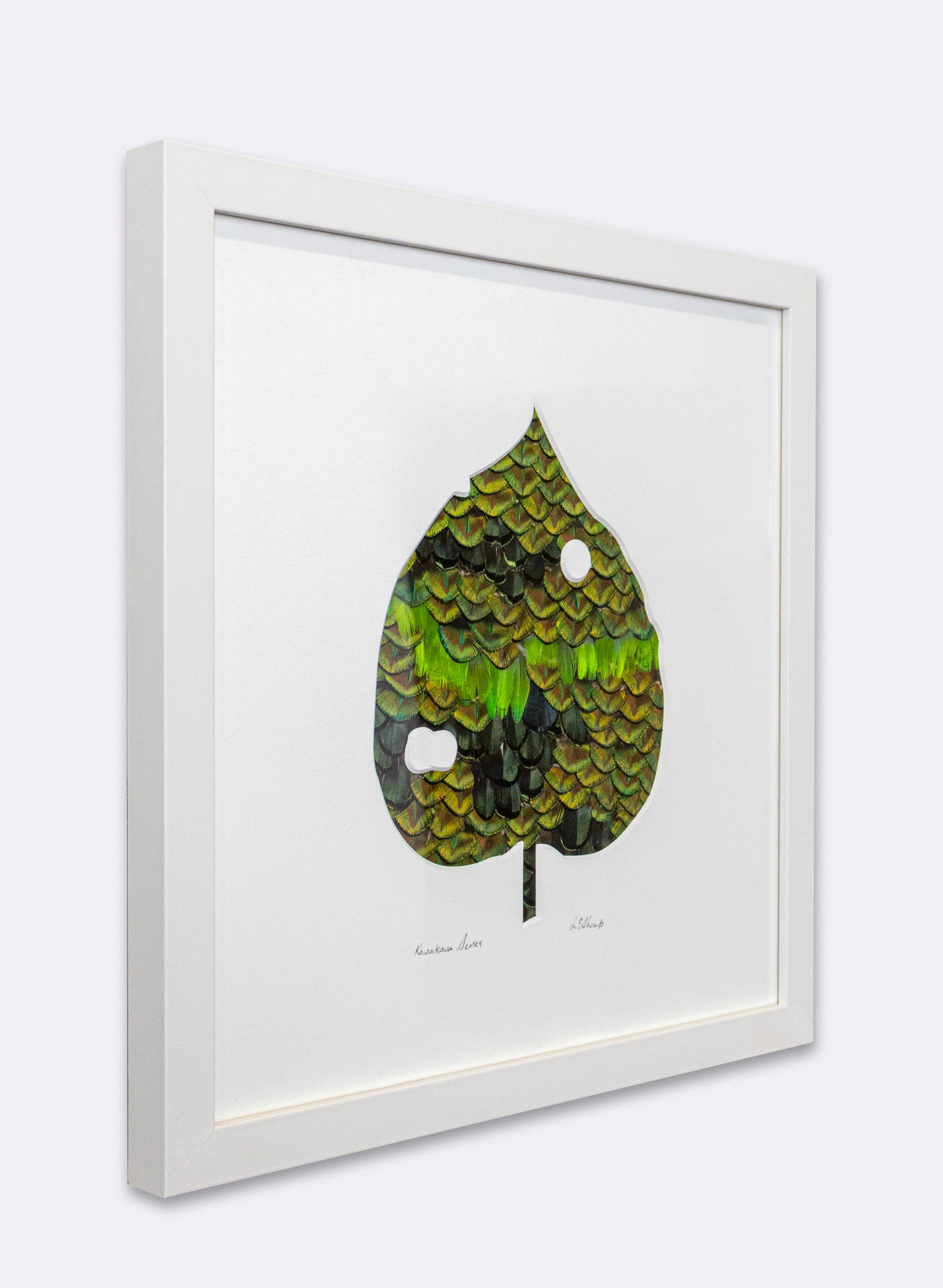 Kawakawa