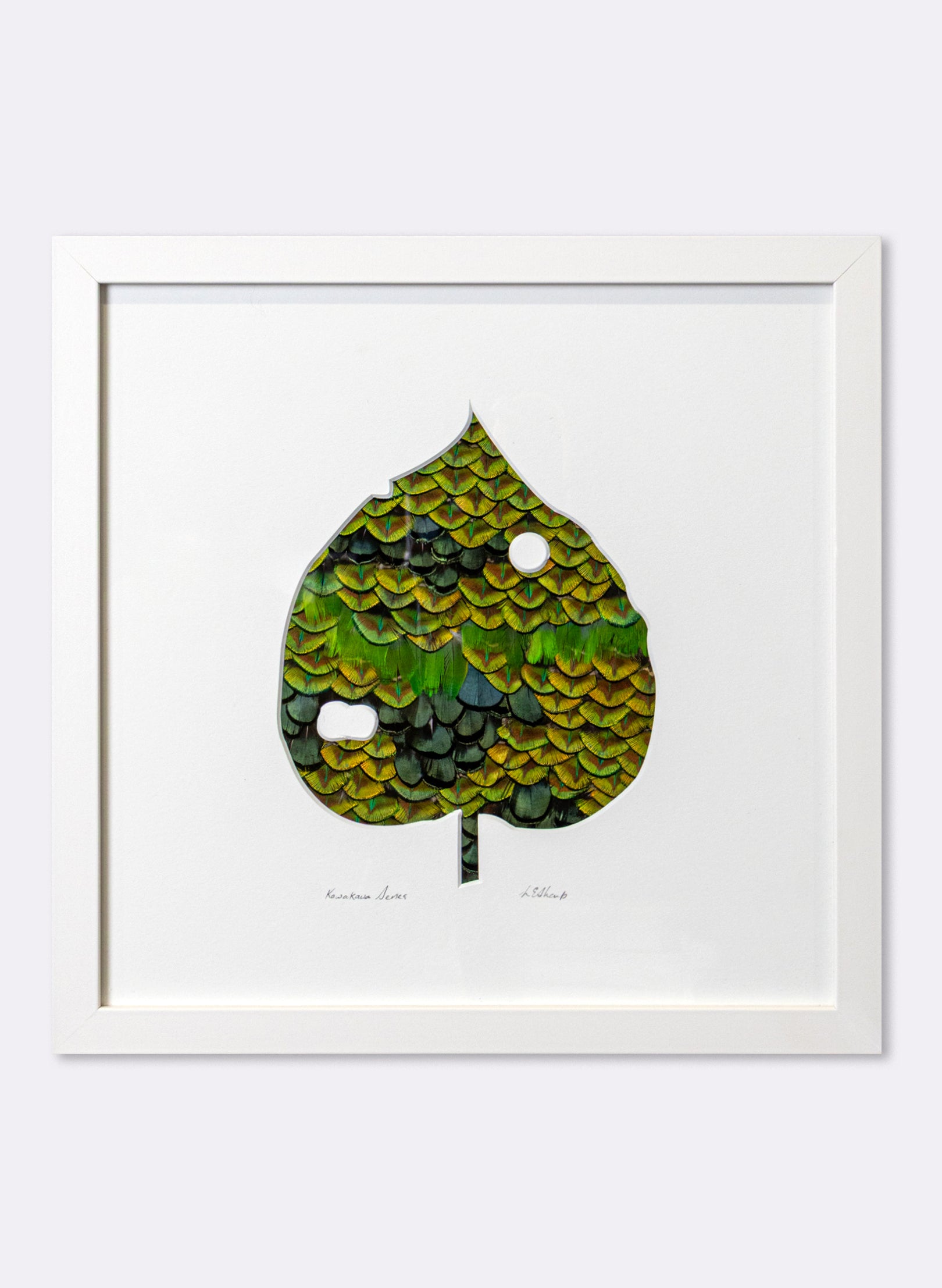 Kawakawa