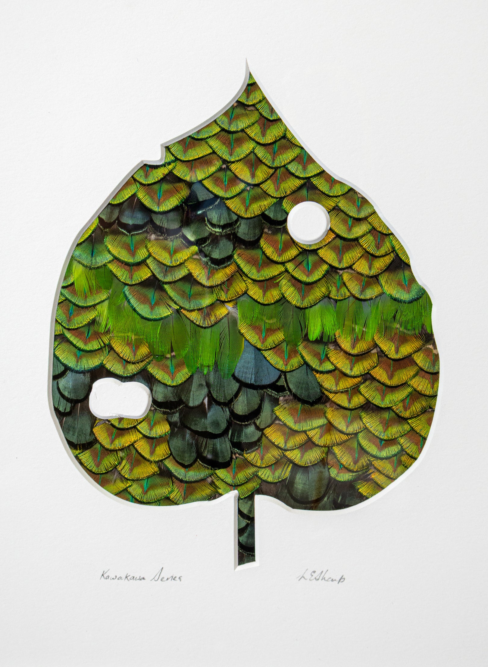 Kawakawa