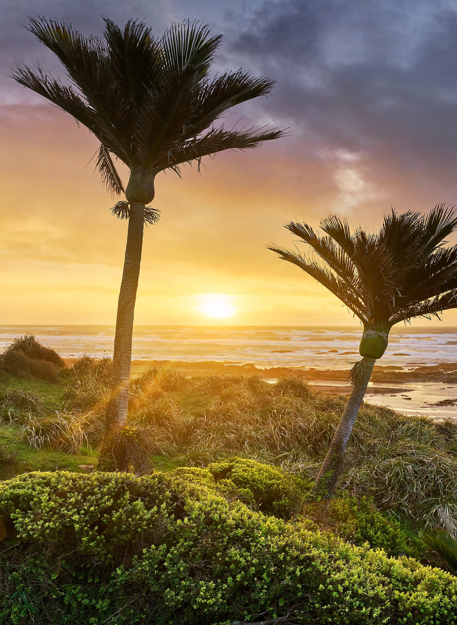 Lost World - Photographic Print