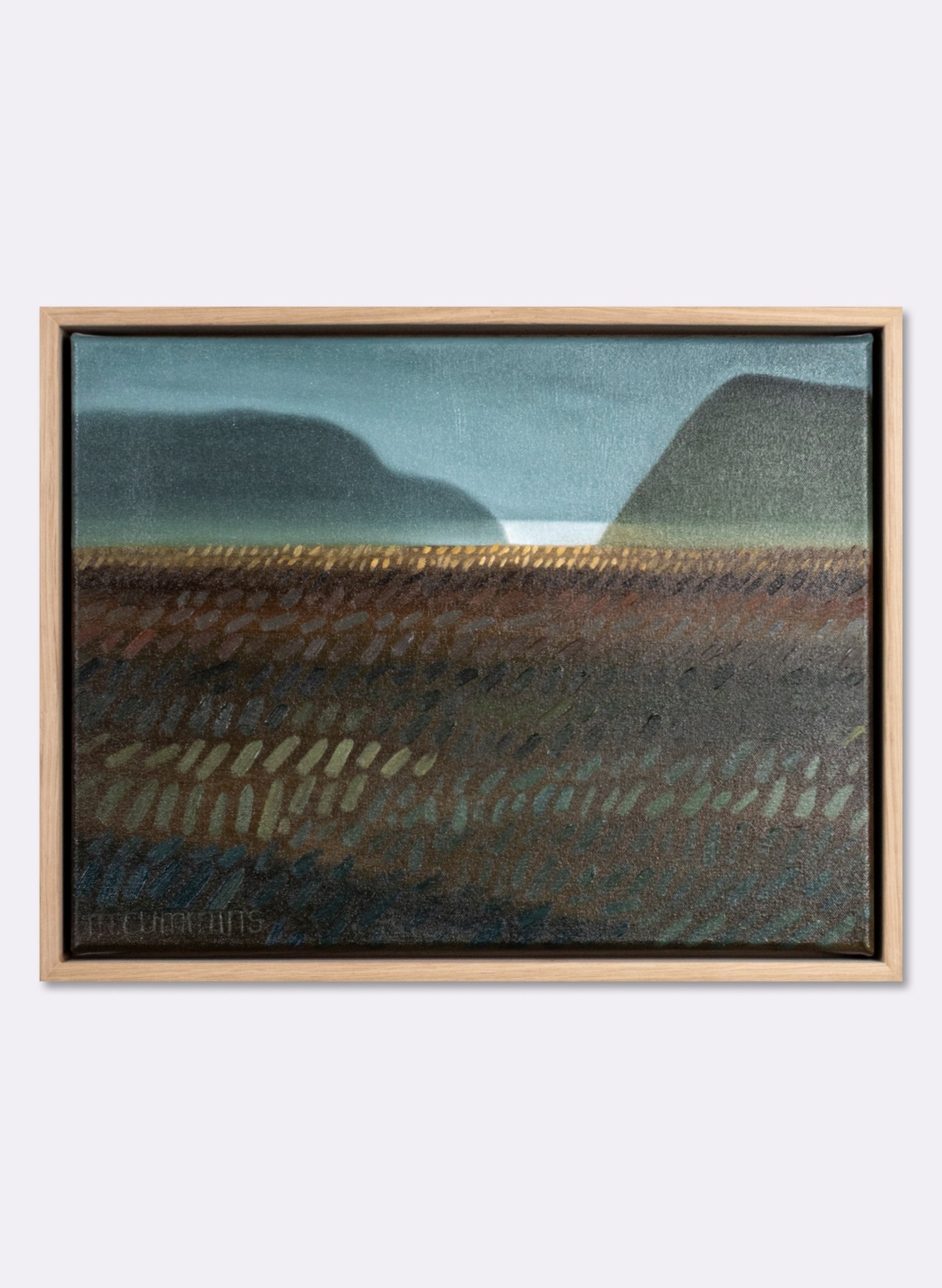 Milford Road Outside Te Anau