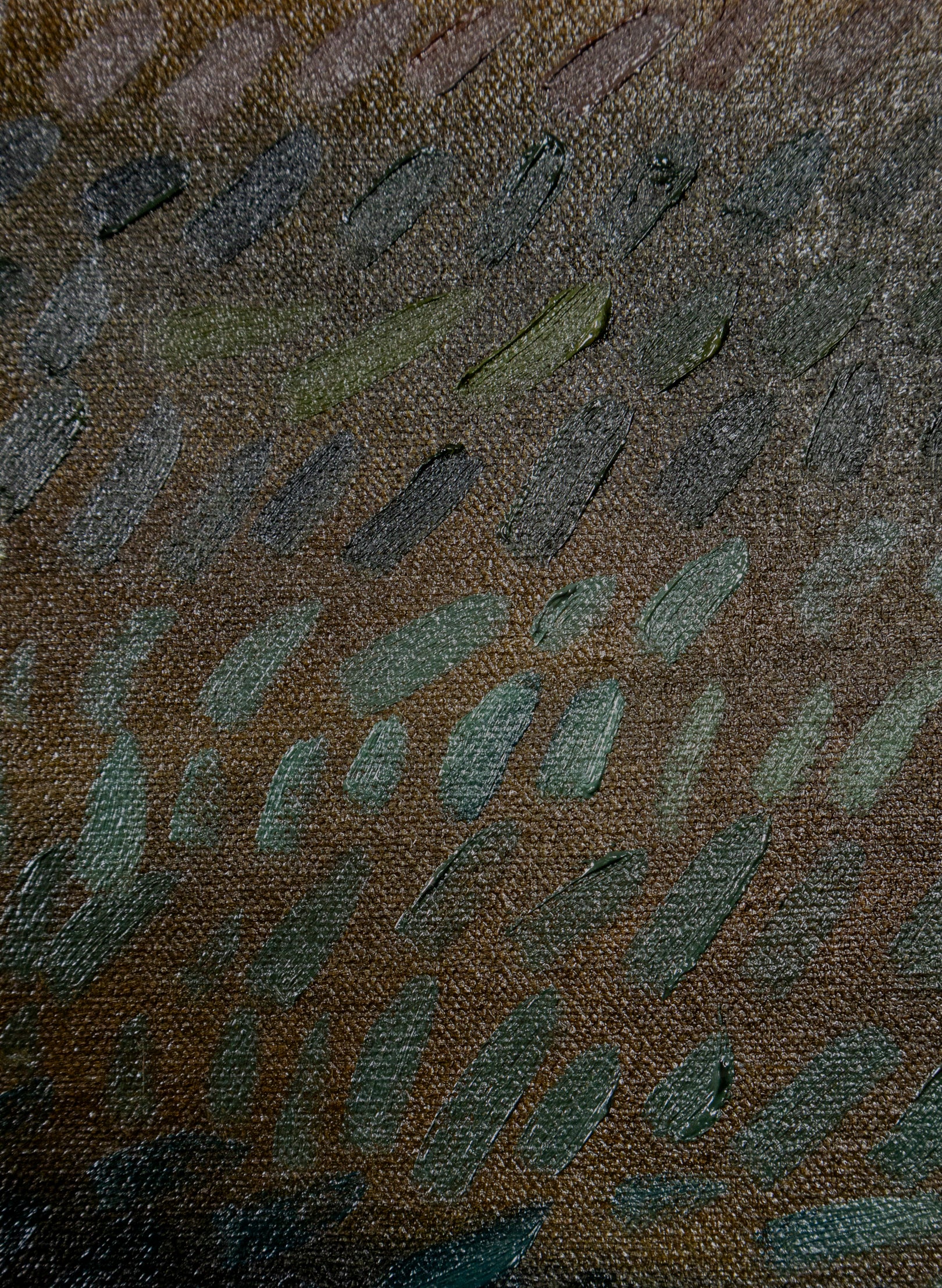 Milford Road Outside Te Anau