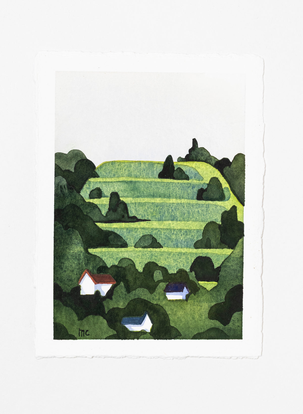 Maungawhau - Mount Eden 11