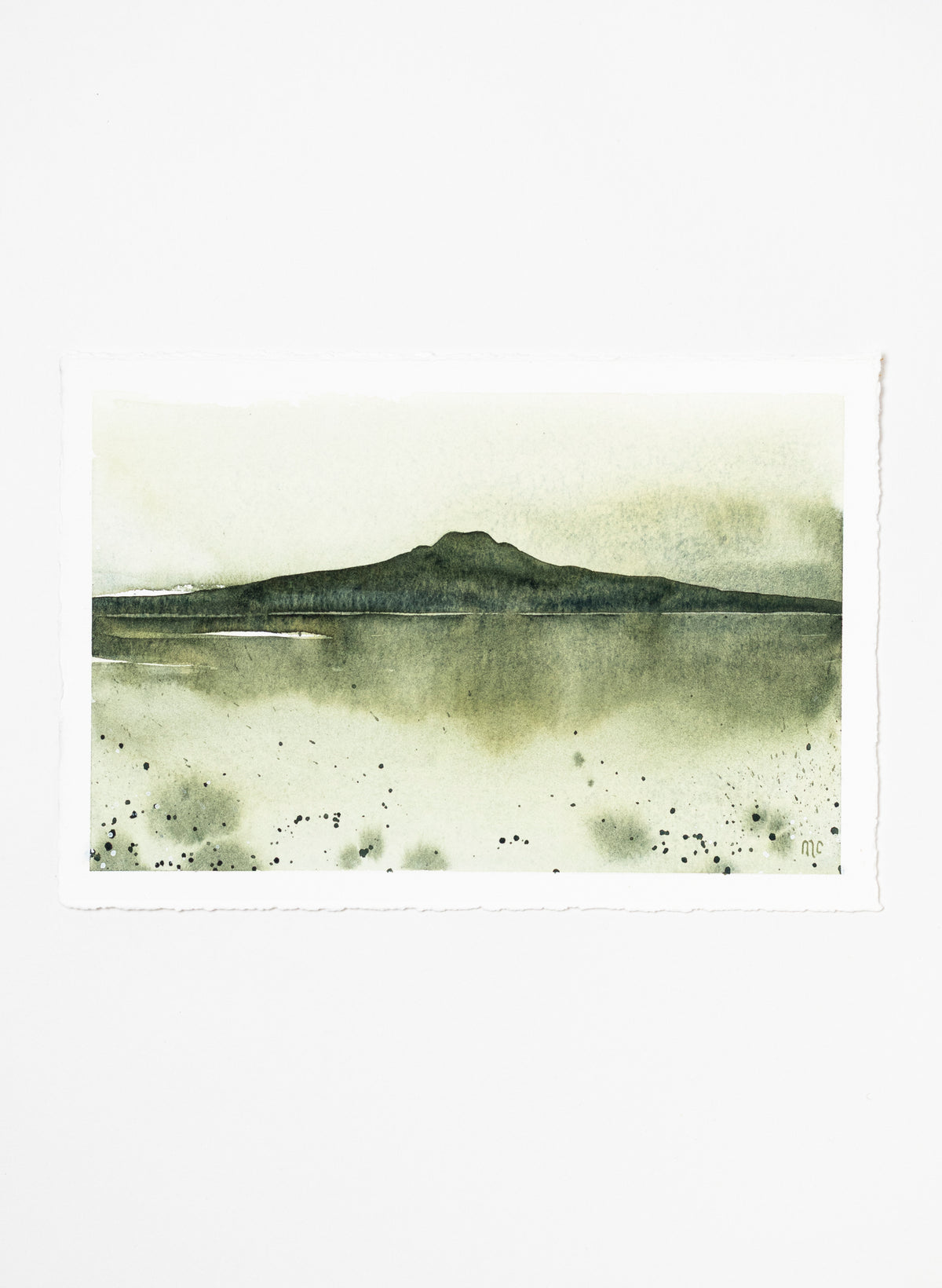 Rangitoto Moss