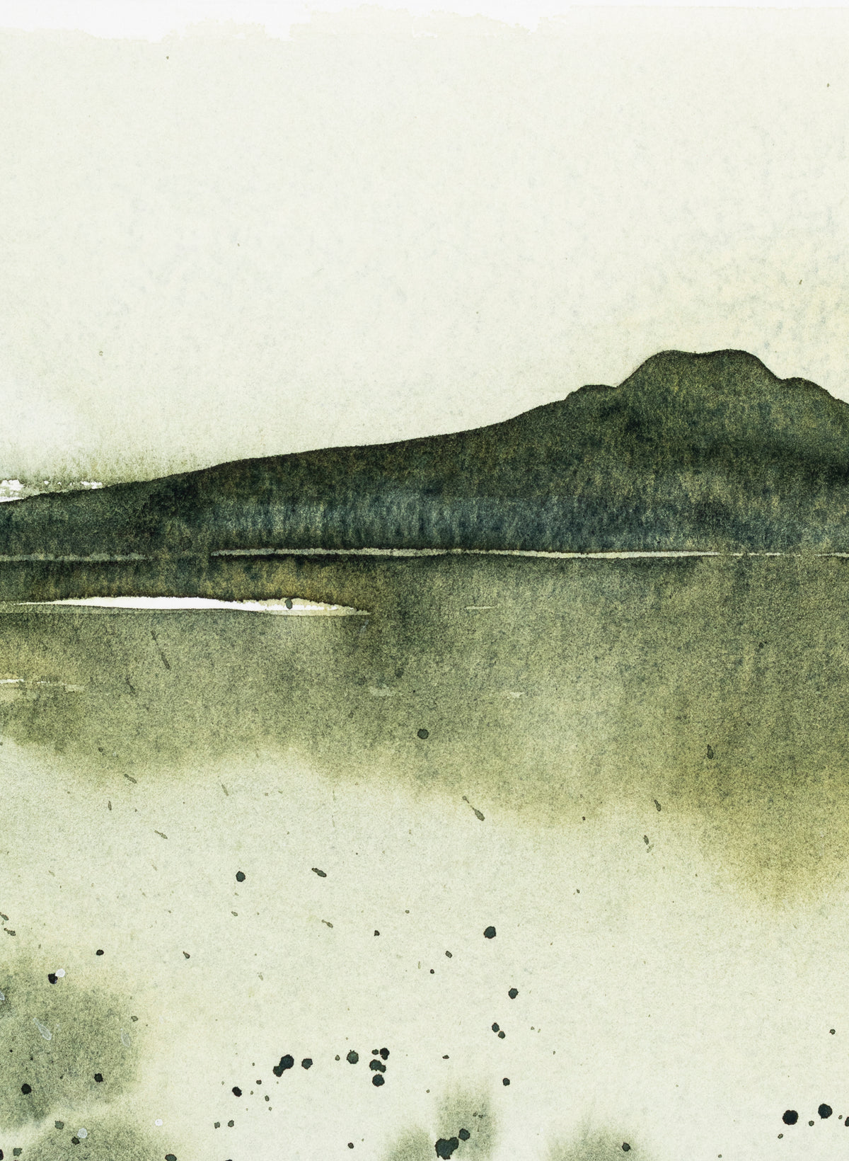 Rangitoto Moss