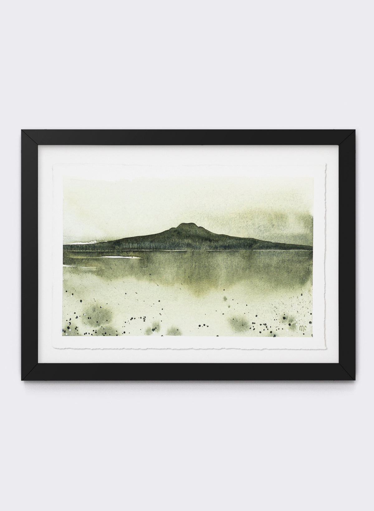 Rangitoto Moss