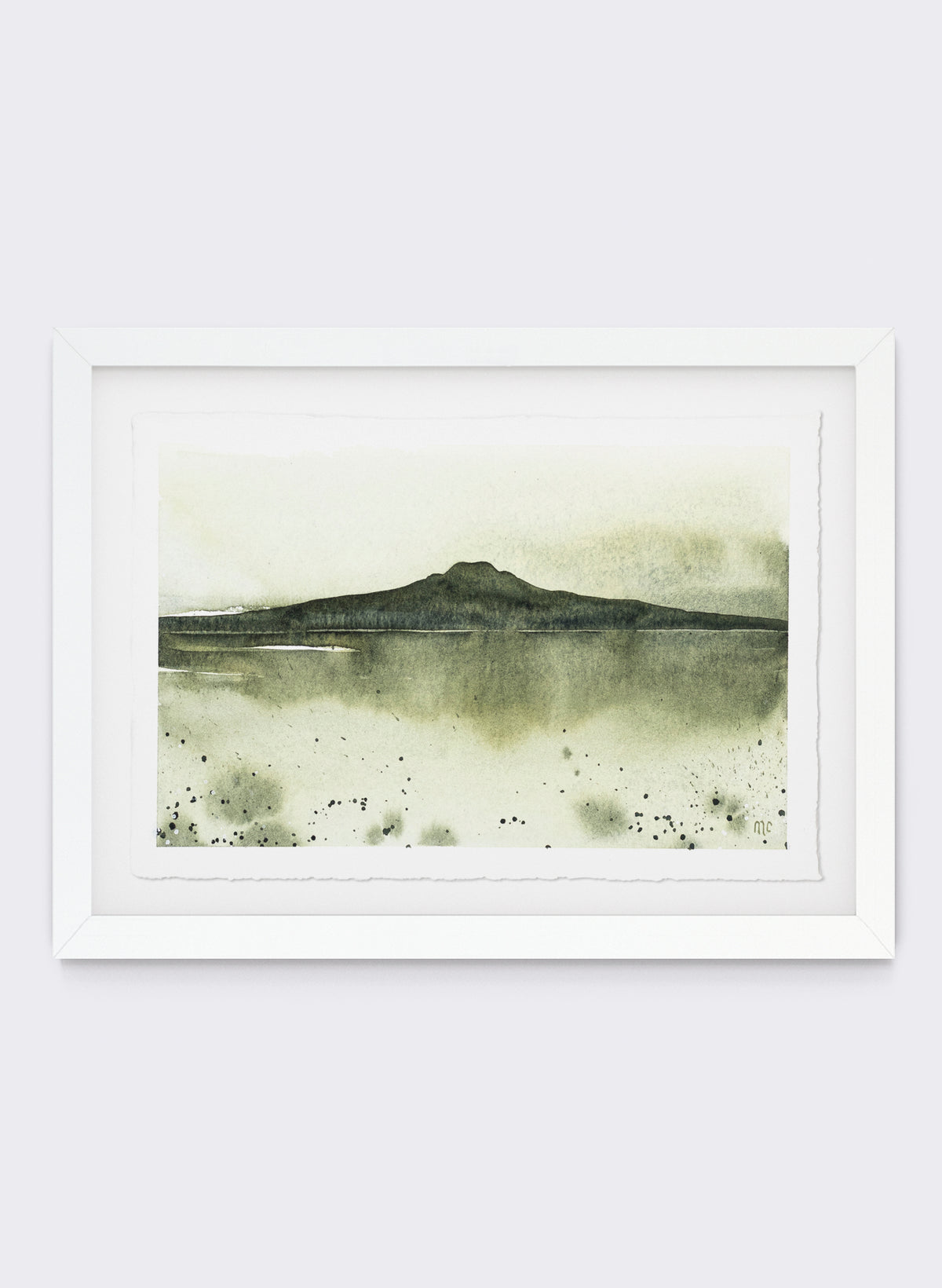 Rangitoto Moss
