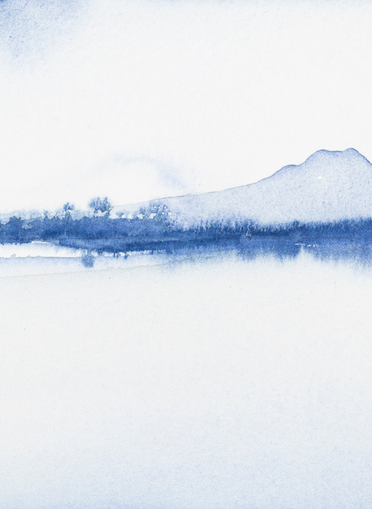 Rangitoto Mist