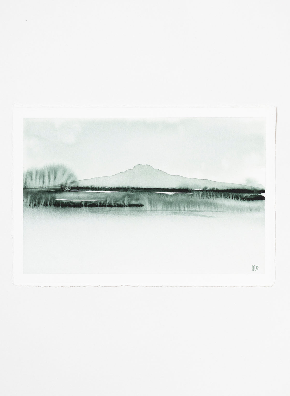 Rangitoto Haze