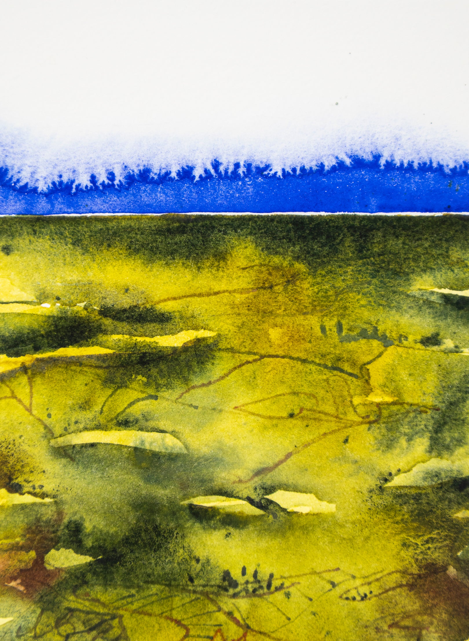 View From The Kaimai&