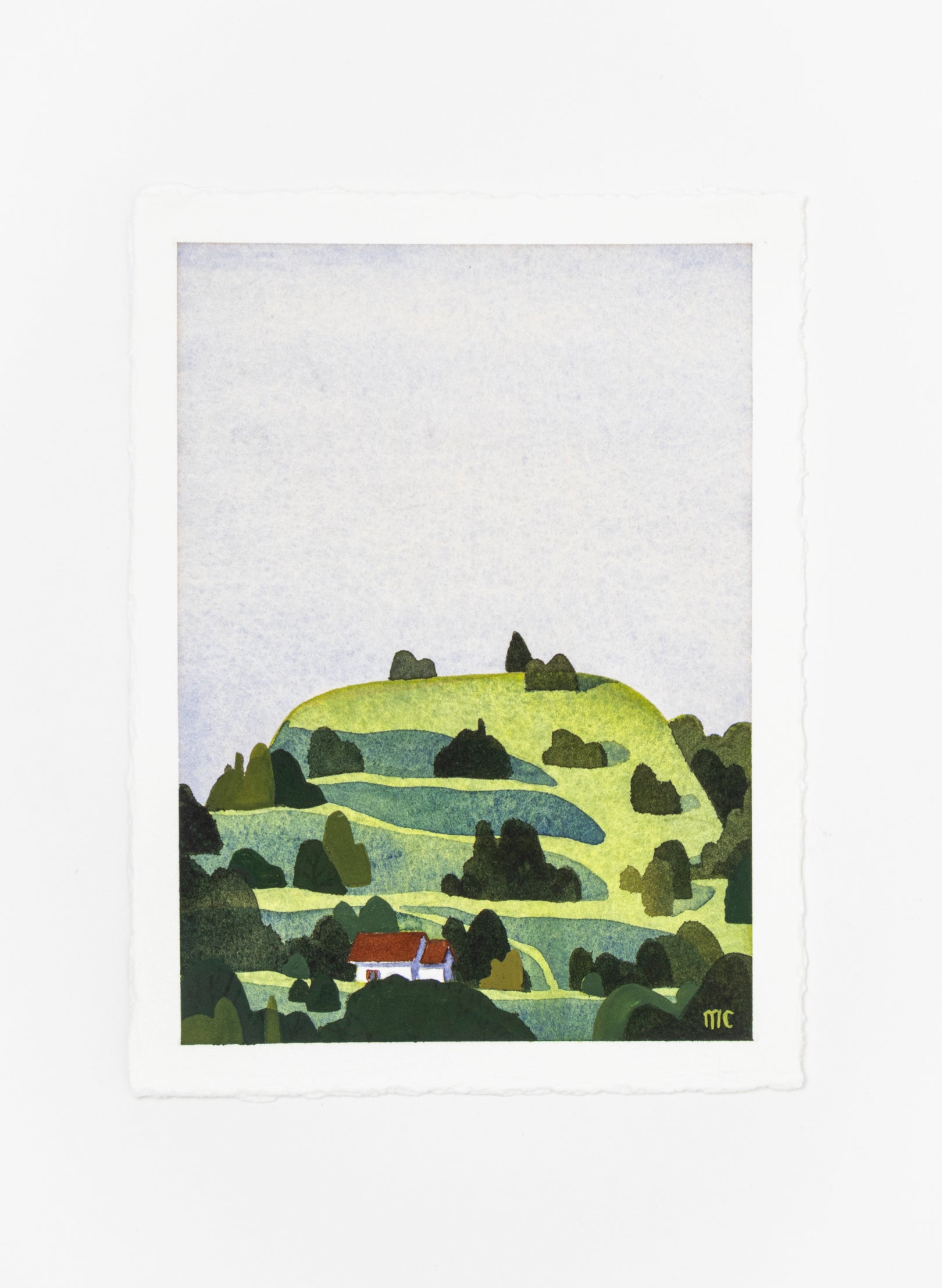 Mt Eden Maungawhau VI