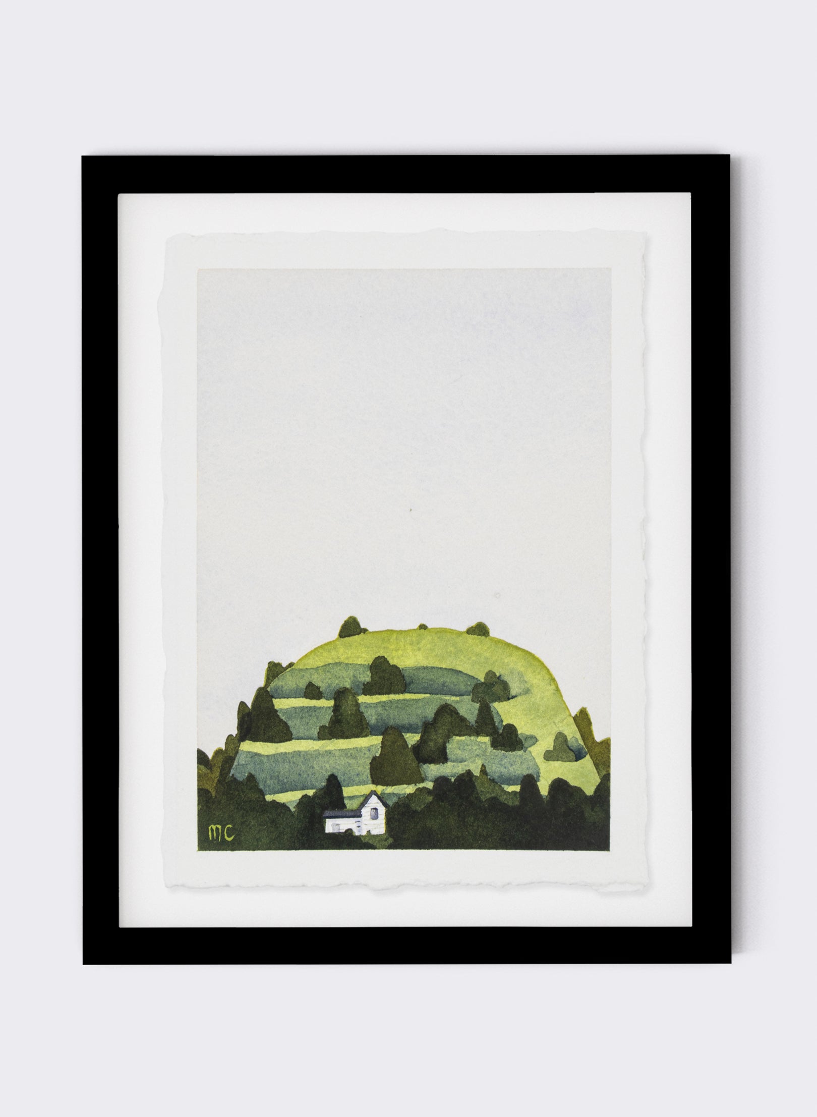 Mt Eden Maungawhau VI