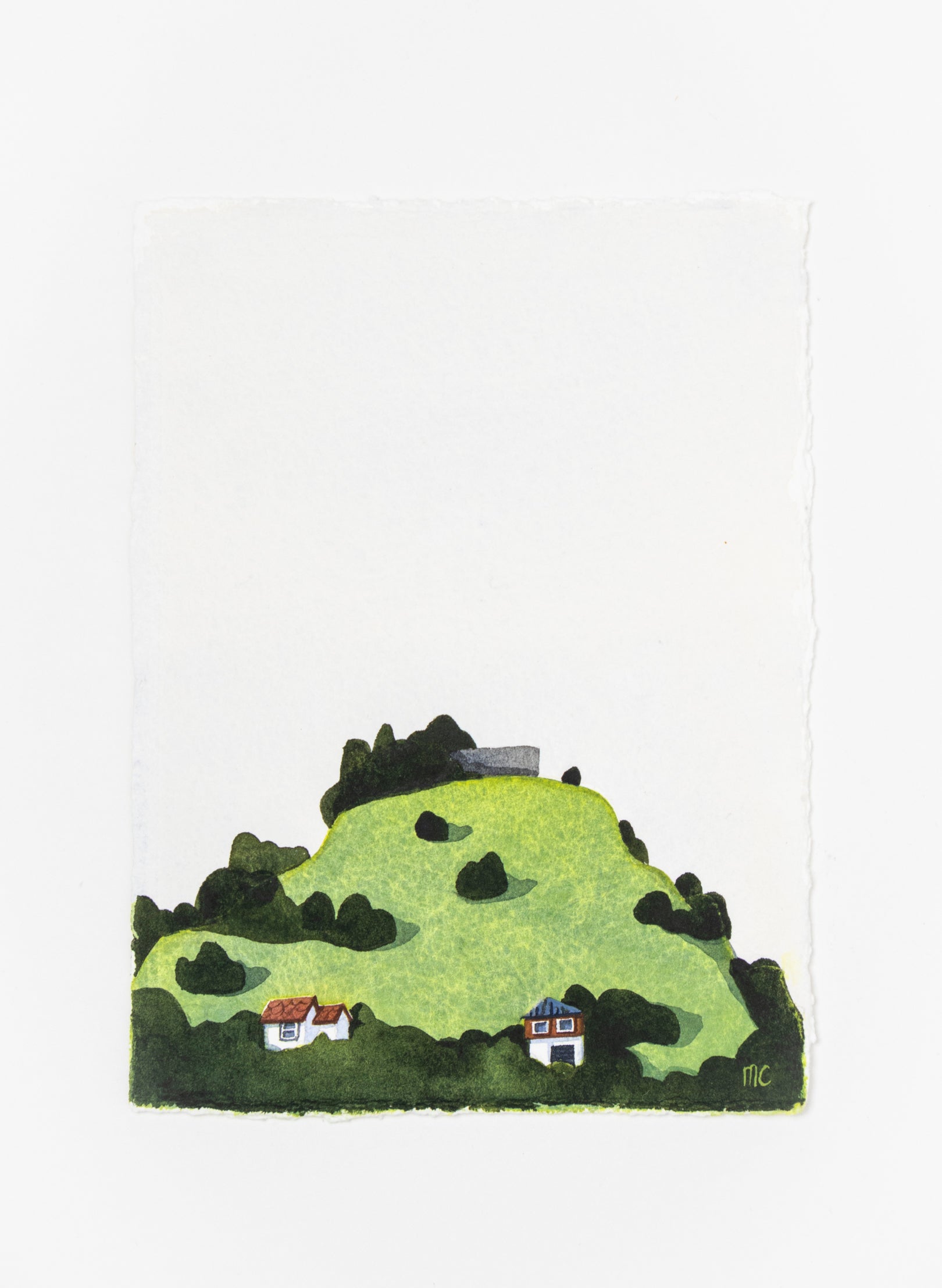 Big King Te Tātua a Riukiuta