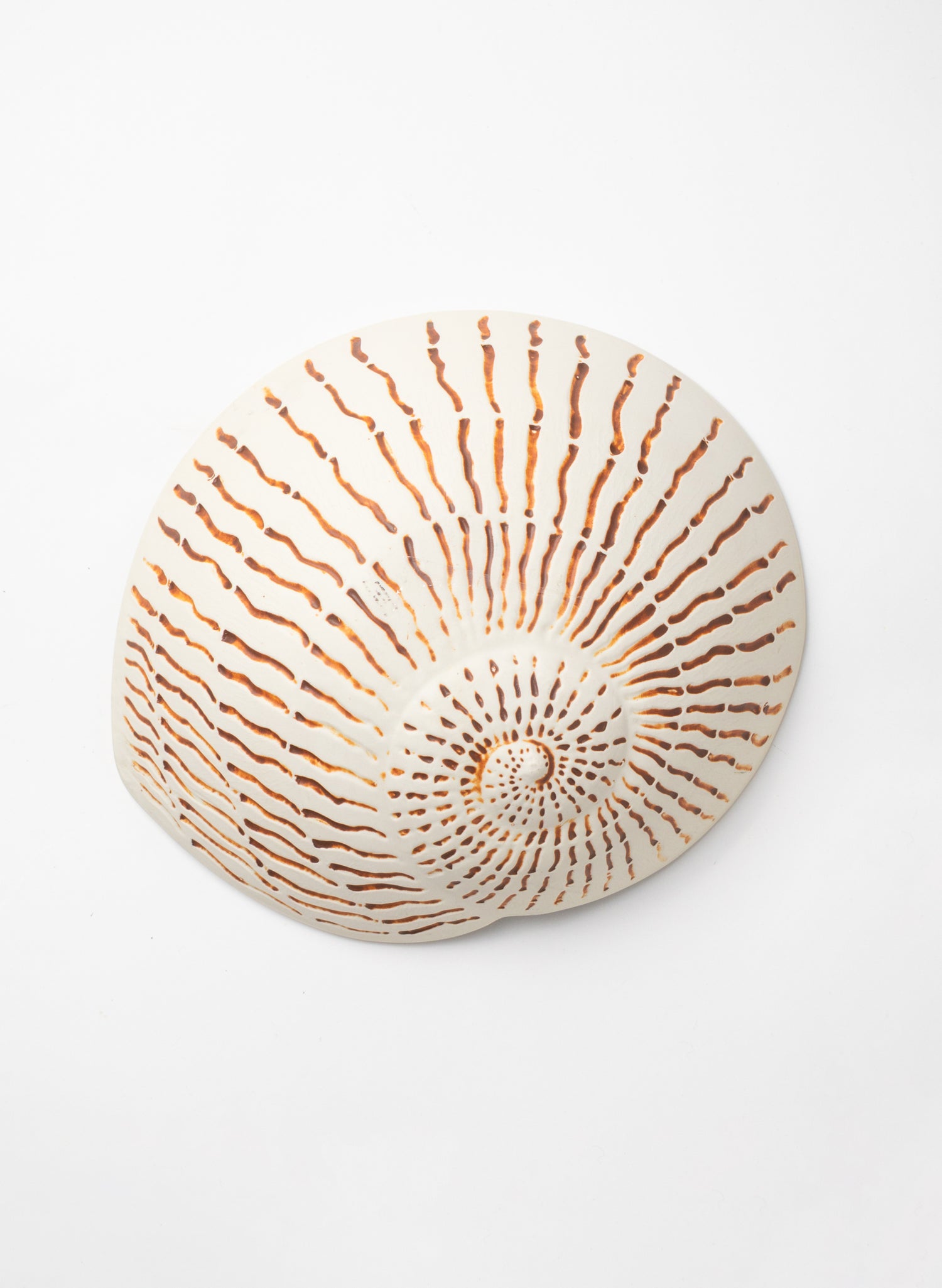 Large Nautilus Shell Bowl - Aqua