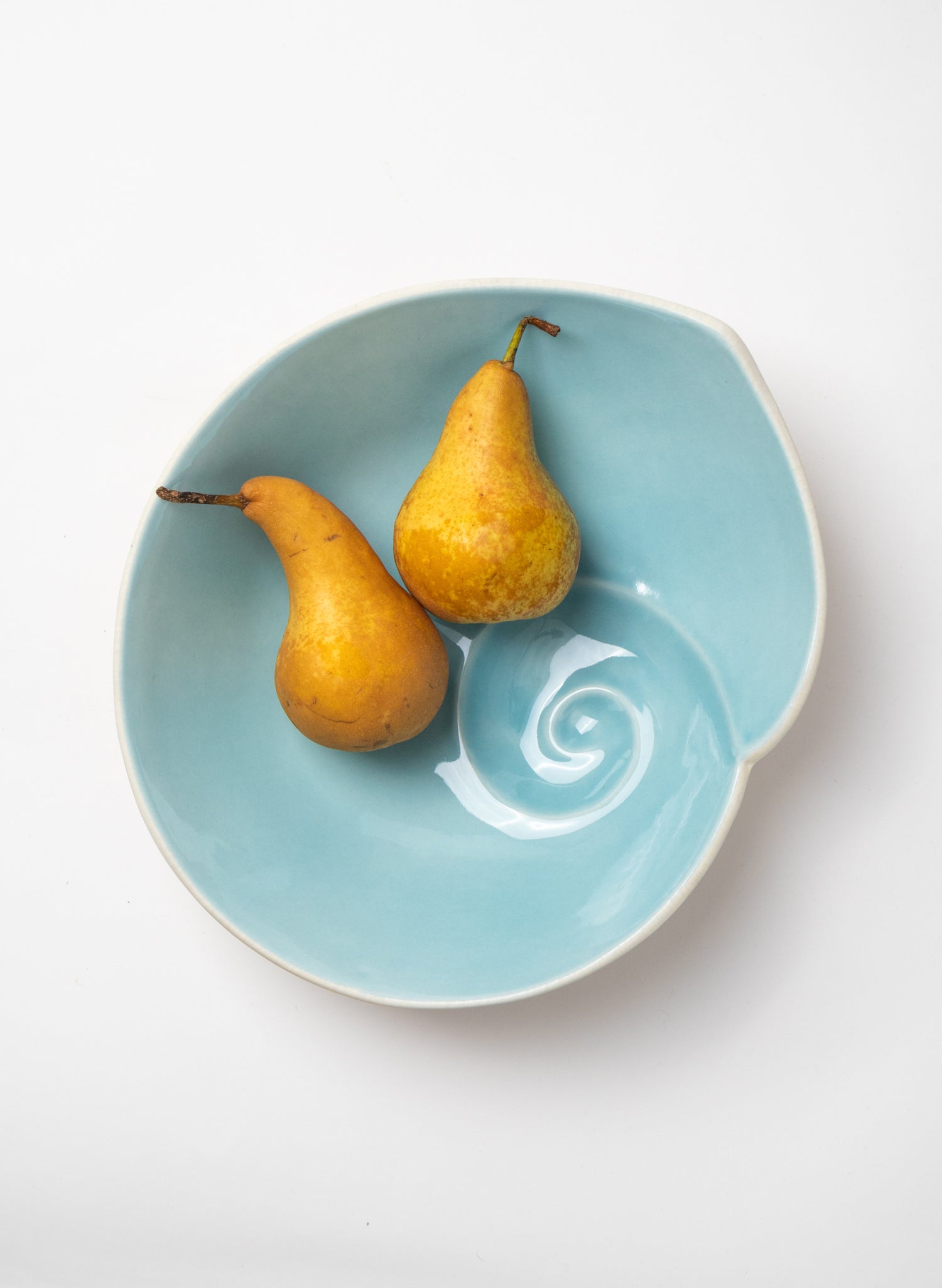 Large Nautilus Shell Bowl - Aqua