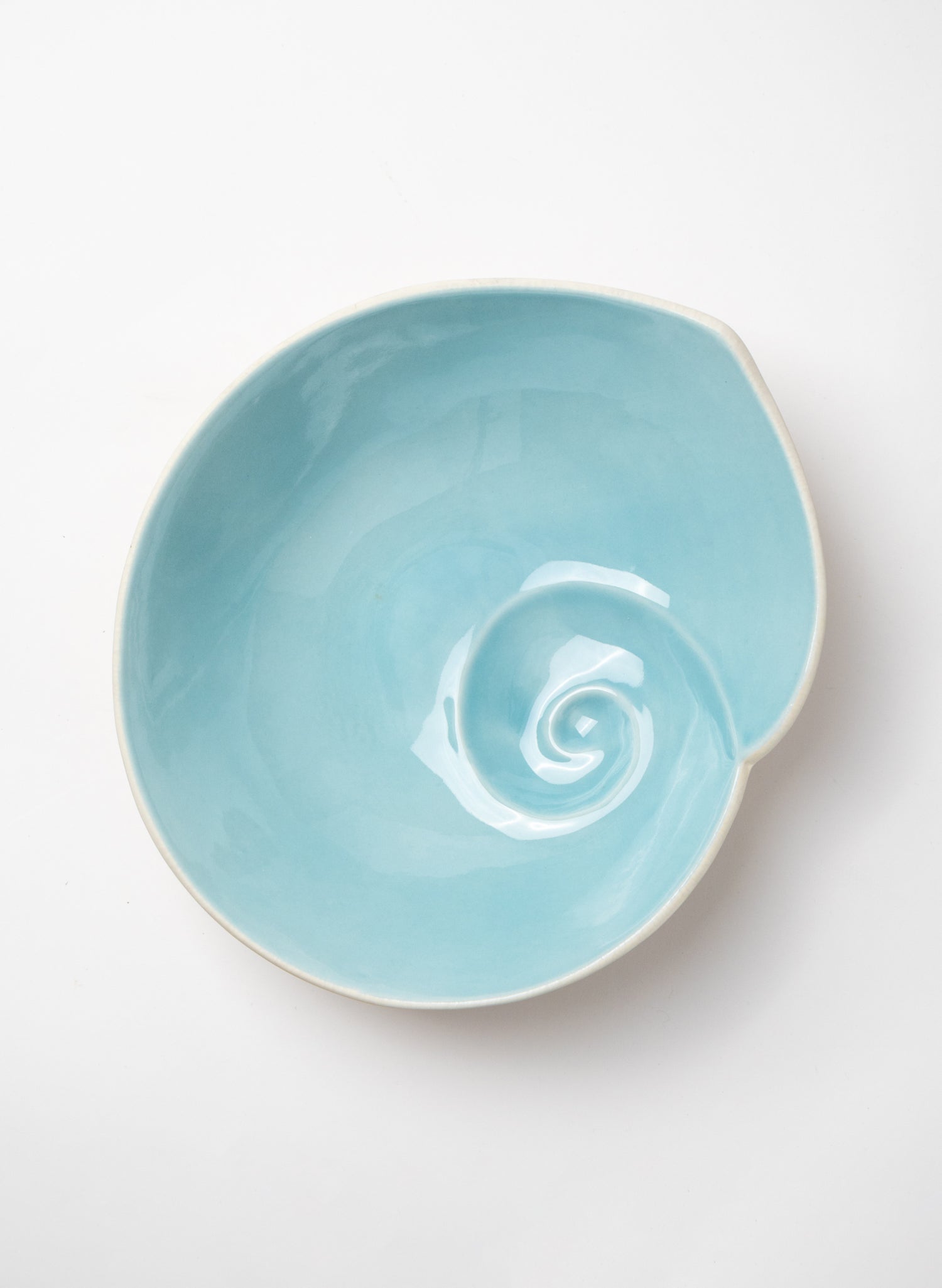 Large Nautilus Shell Bowl - Aqua