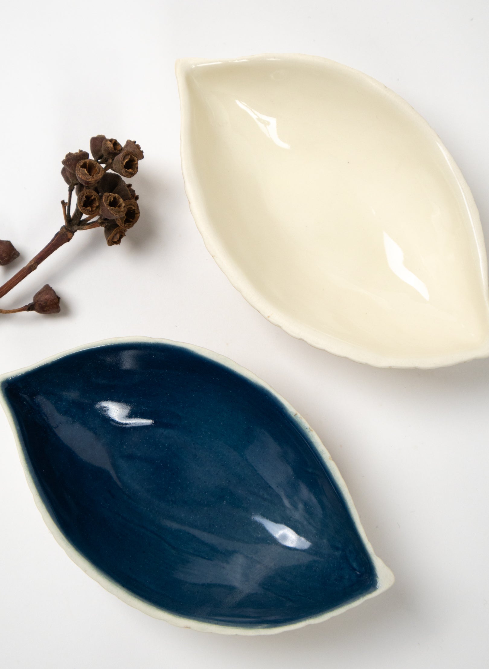 Small Seed Pod Dish - Peacock