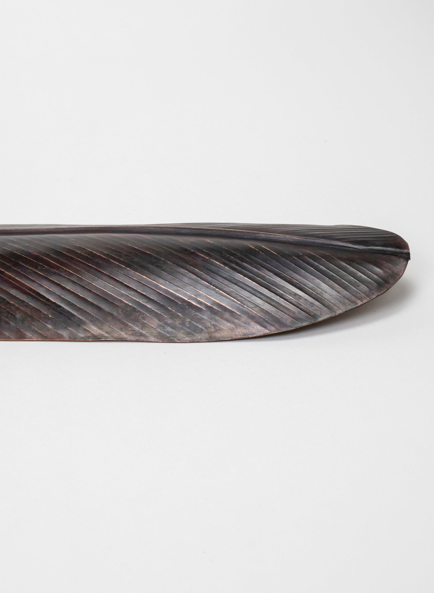 Tūī Feather Copper 475mm